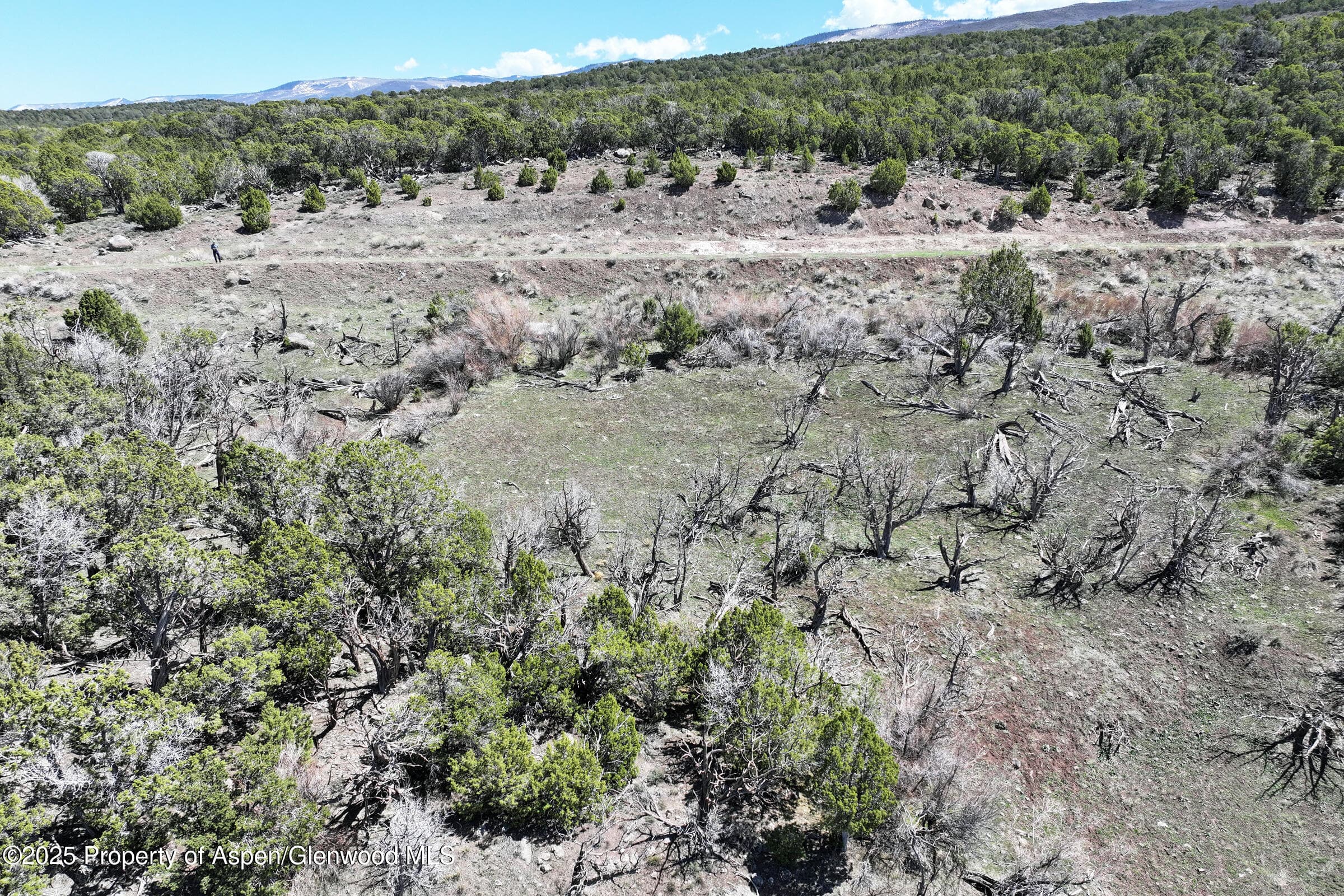 TBD TBD, Mesa, CO 81643 - Photo 7