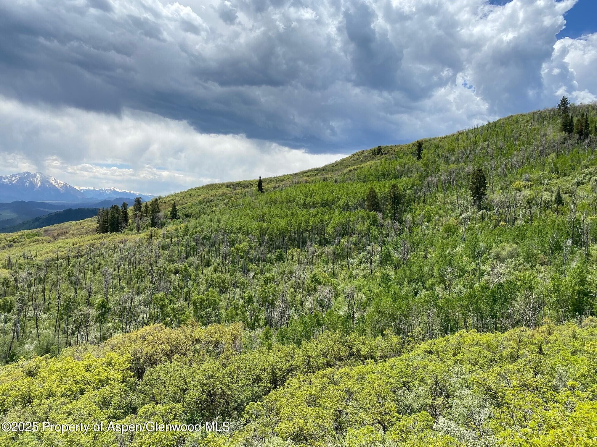 Lot 5 Bear Paw Lane, Glenwood Springs, CO 81601 - Photo 6