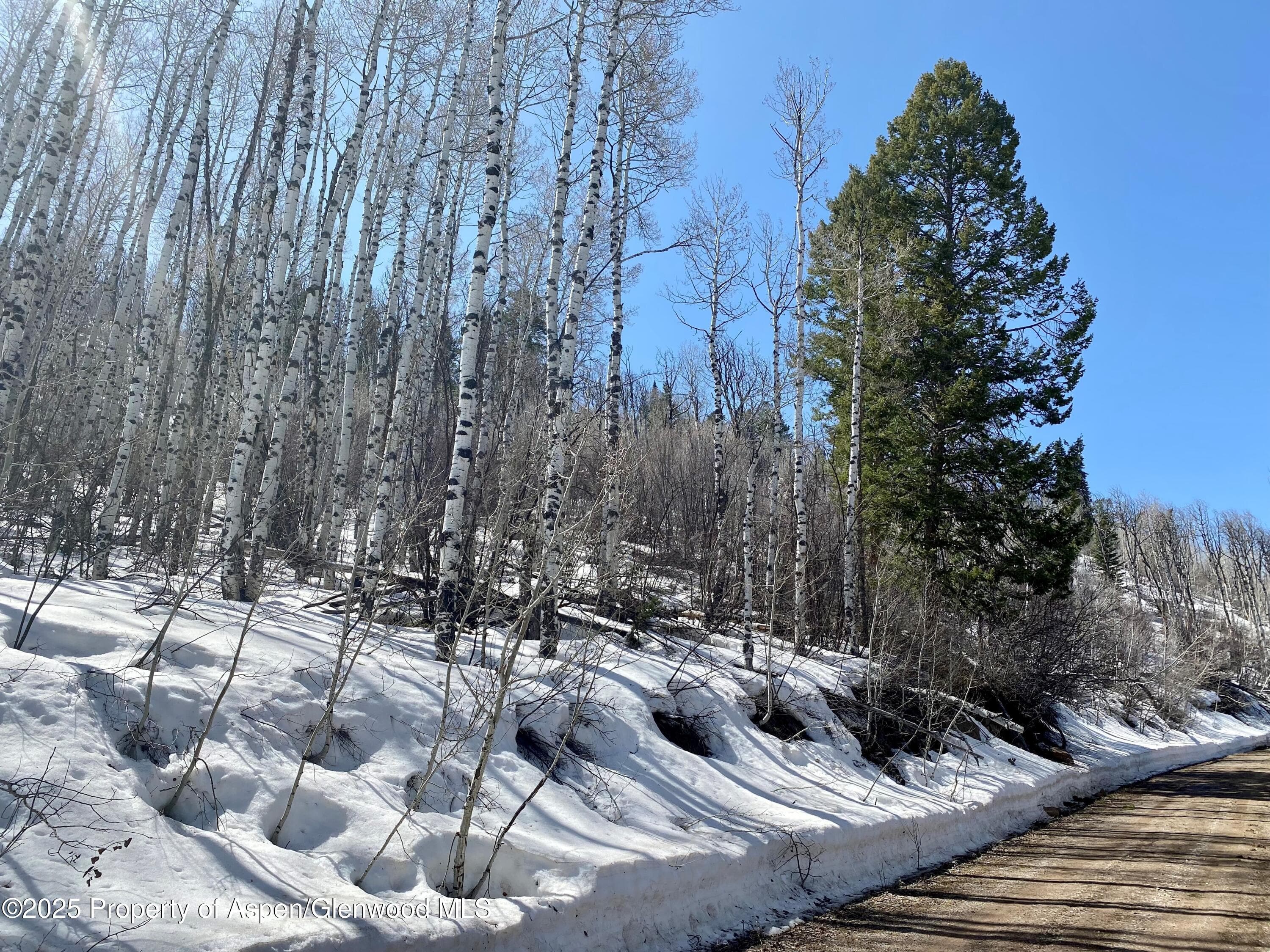 Lot 5 Bear Paw Lane, Glenwood Springs, CO 81601 - Photo 8