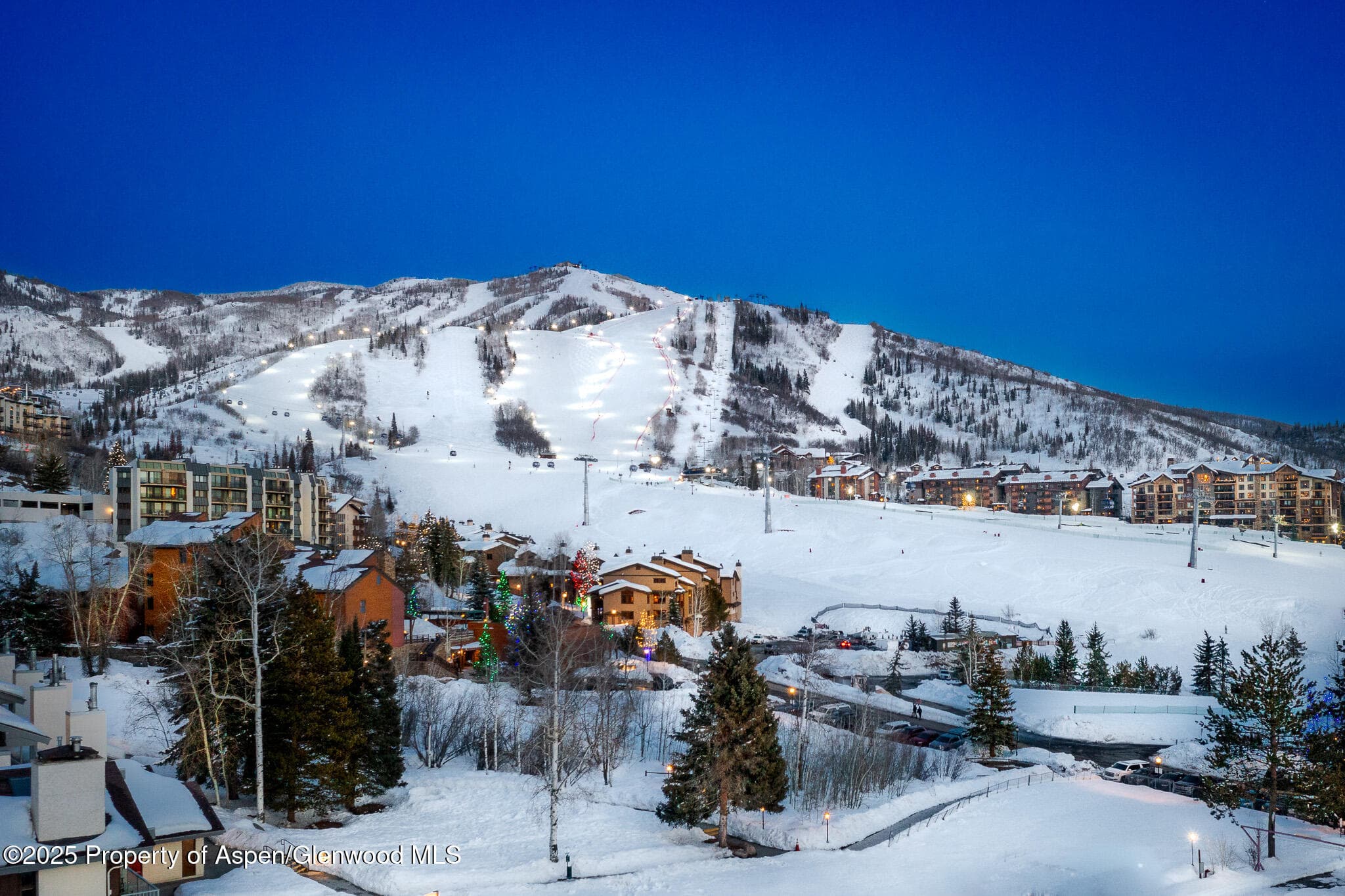 1855 Burgess Creek Road Unit #3 & 4, Steamboat, CO 80487 - Photo 8