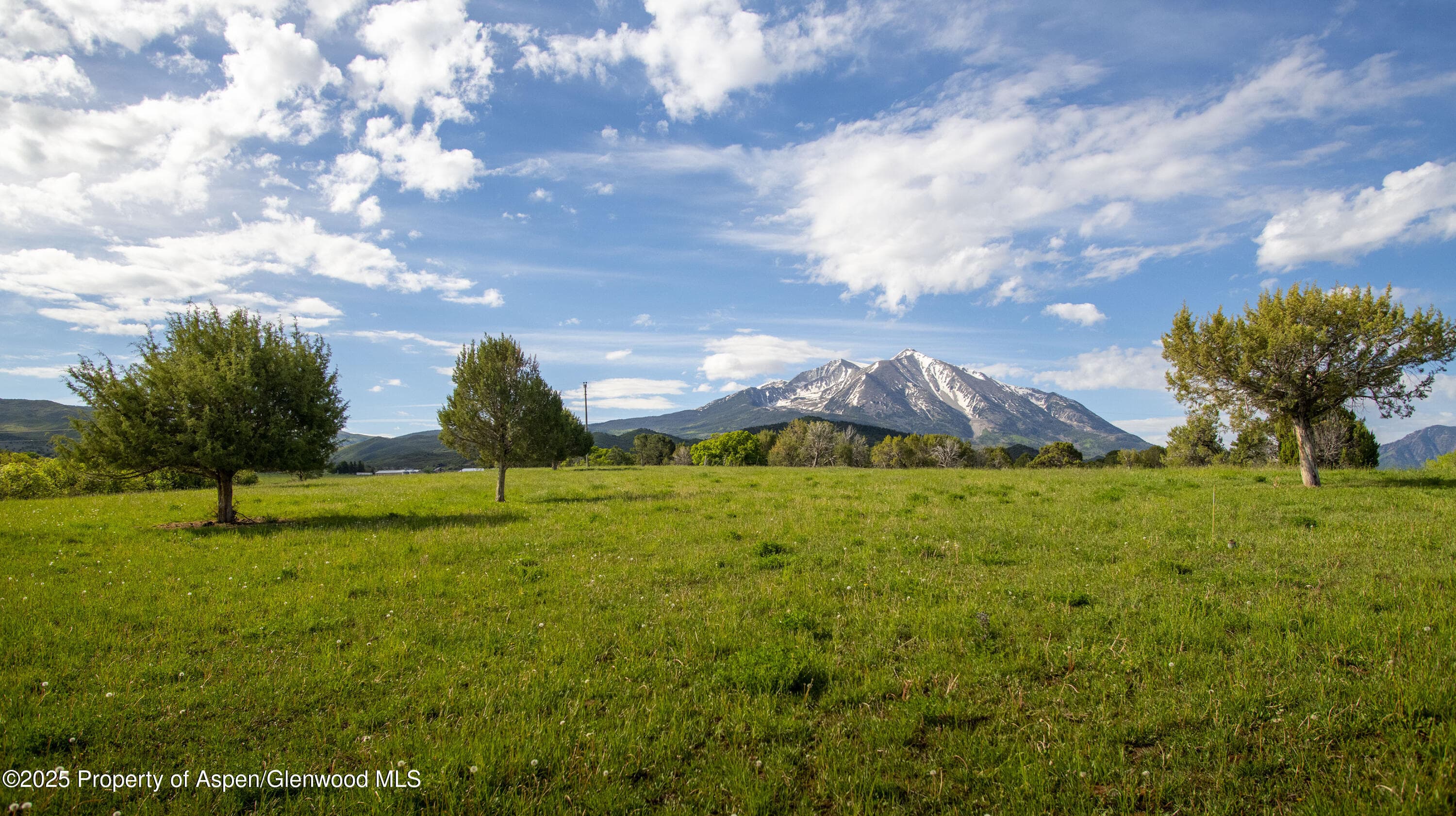 1634 Prince Creek Road, Carbondale, CO 81623 - Photo 10
