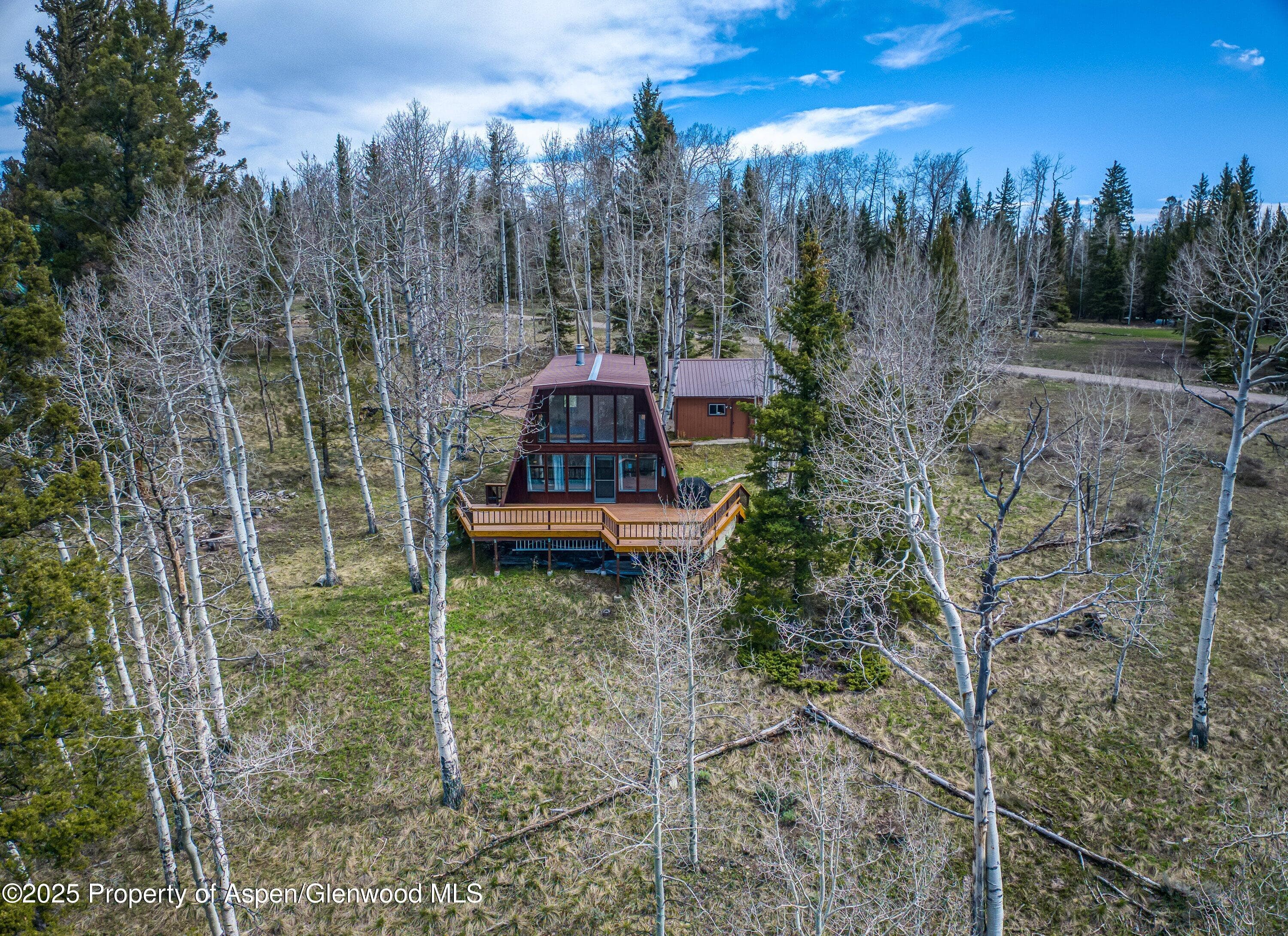 771 Spruce Road, Cimarron, CO 81220 - Photo 5