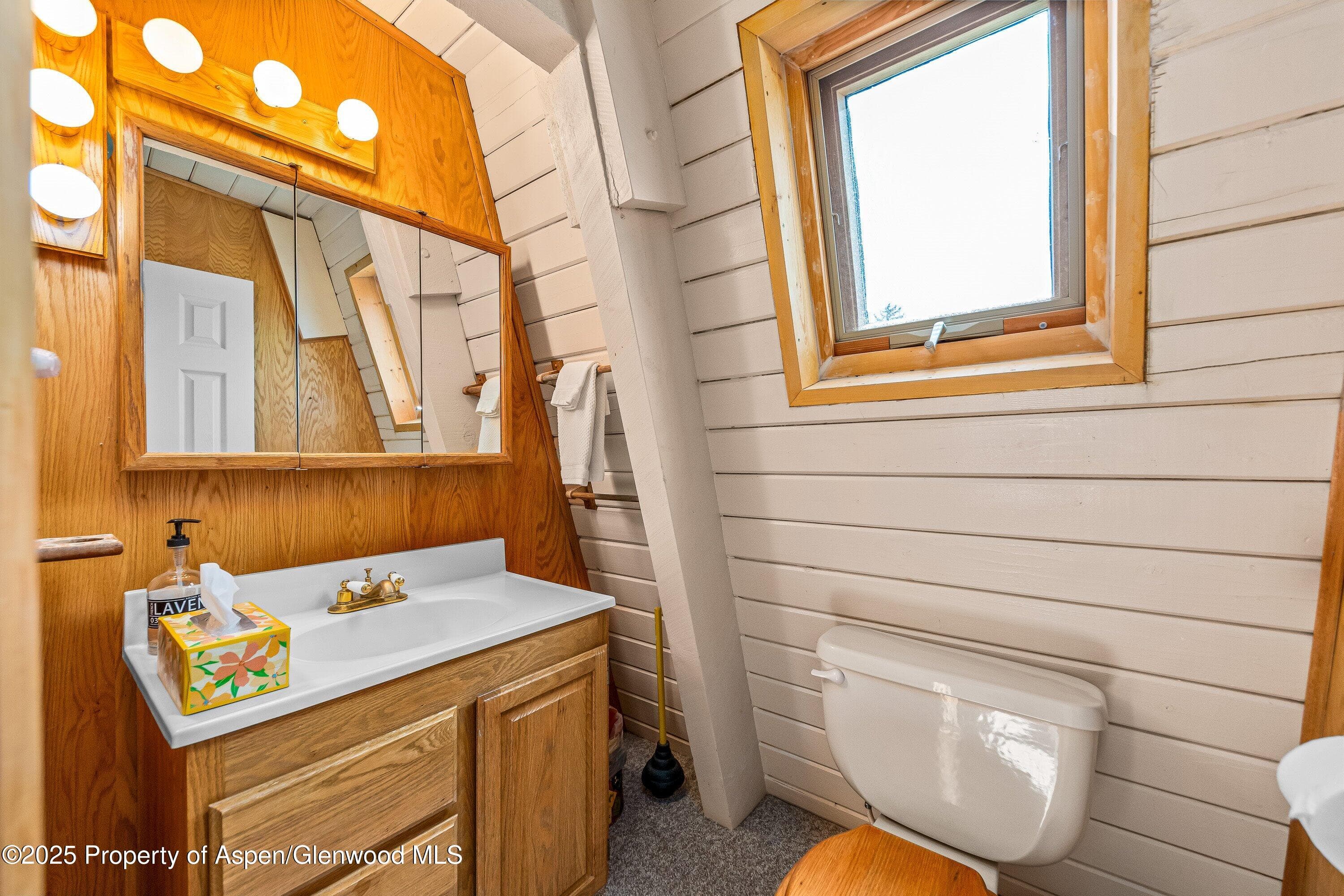 771 Spruce Road, Cimarron, CO 81220 - Photo 19