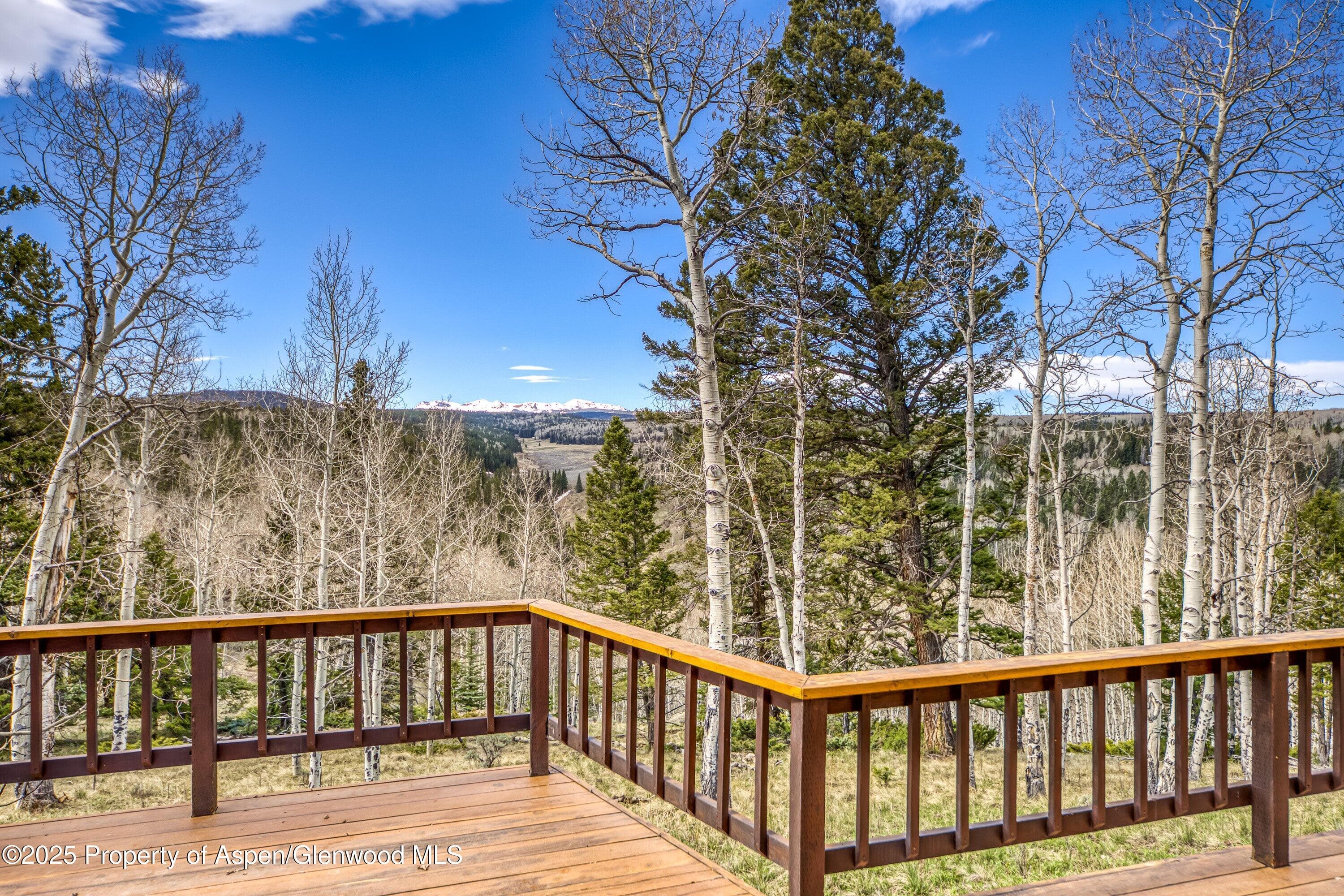 771 Spruce Road, Cimarron, CO 81220 - Photo 22
