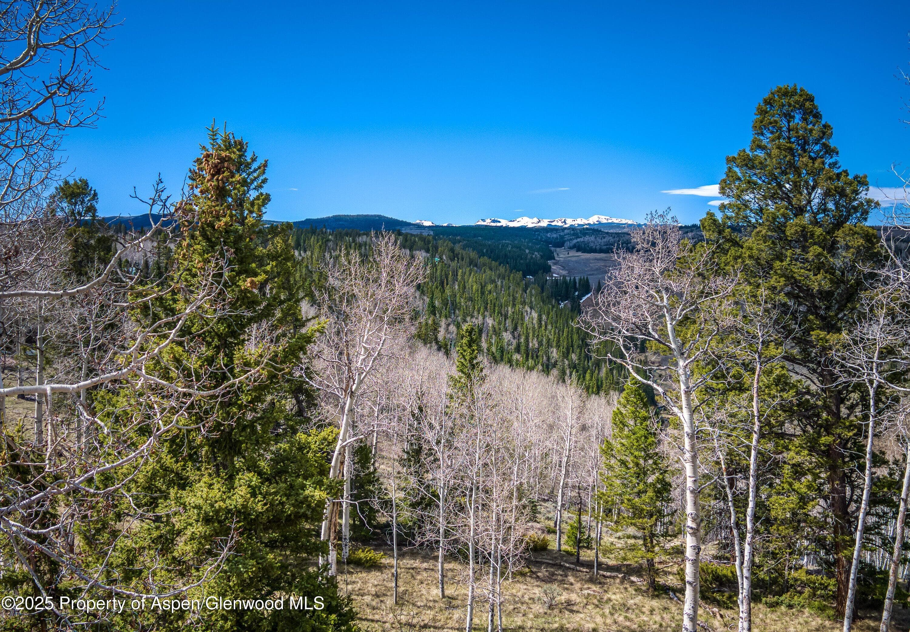 771 Spruce Road, Cimarron, CO 81220 - Photo 25