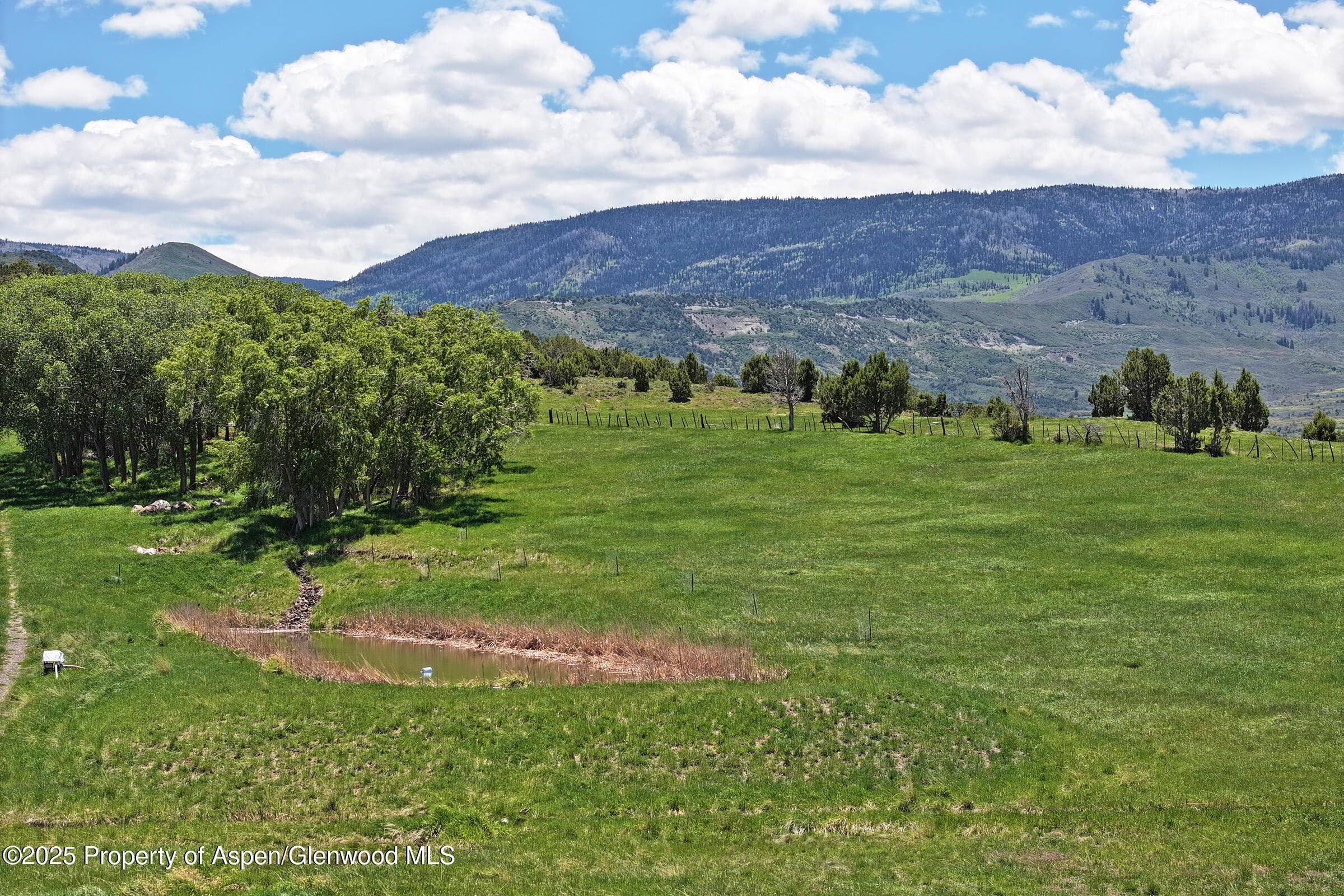 57191 ME Road, Collbran, CO 81624 - Photo 38