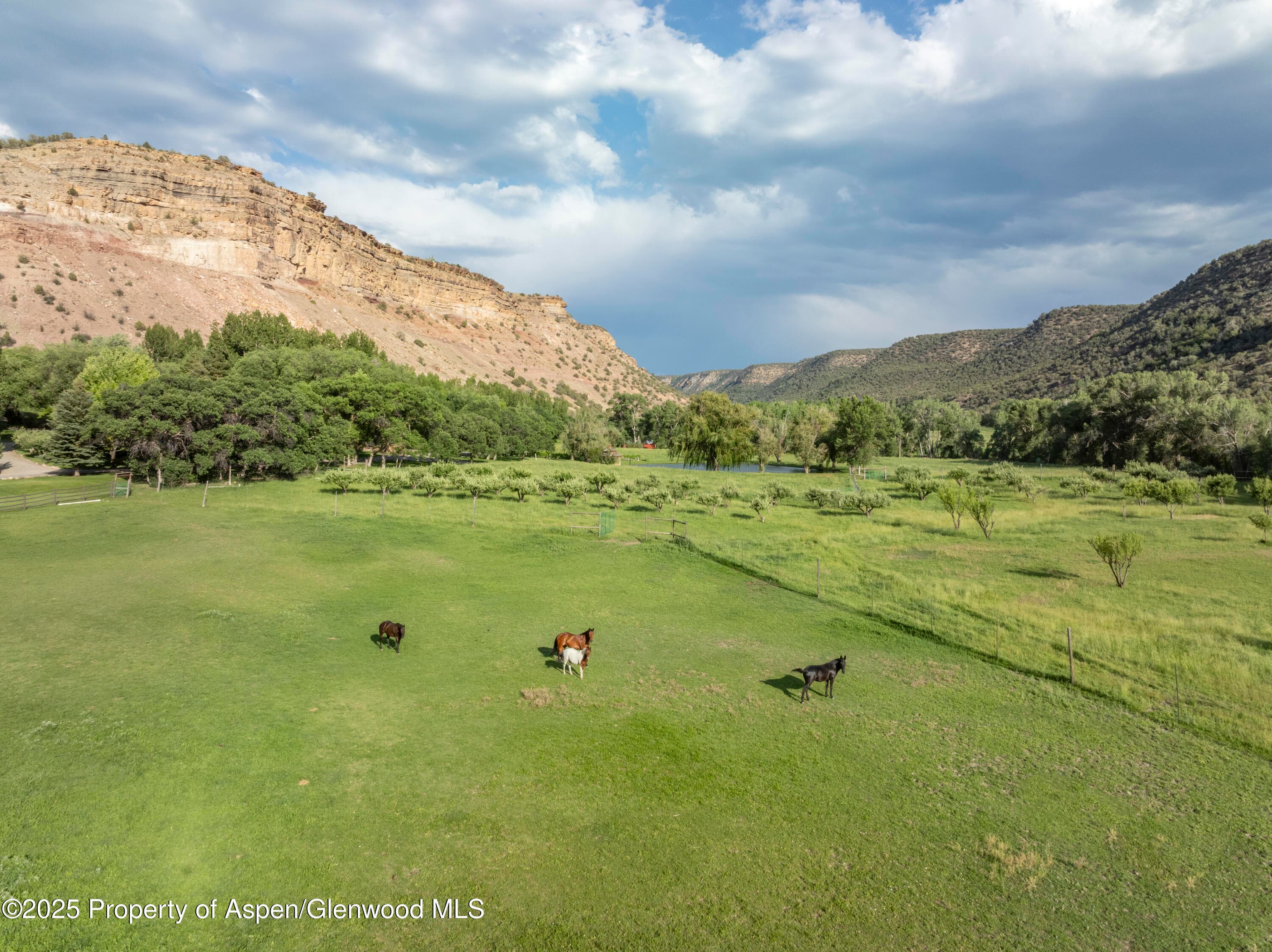 34074 Fruitland Mesa Road, Crawford, CO 81415 - Photo 16