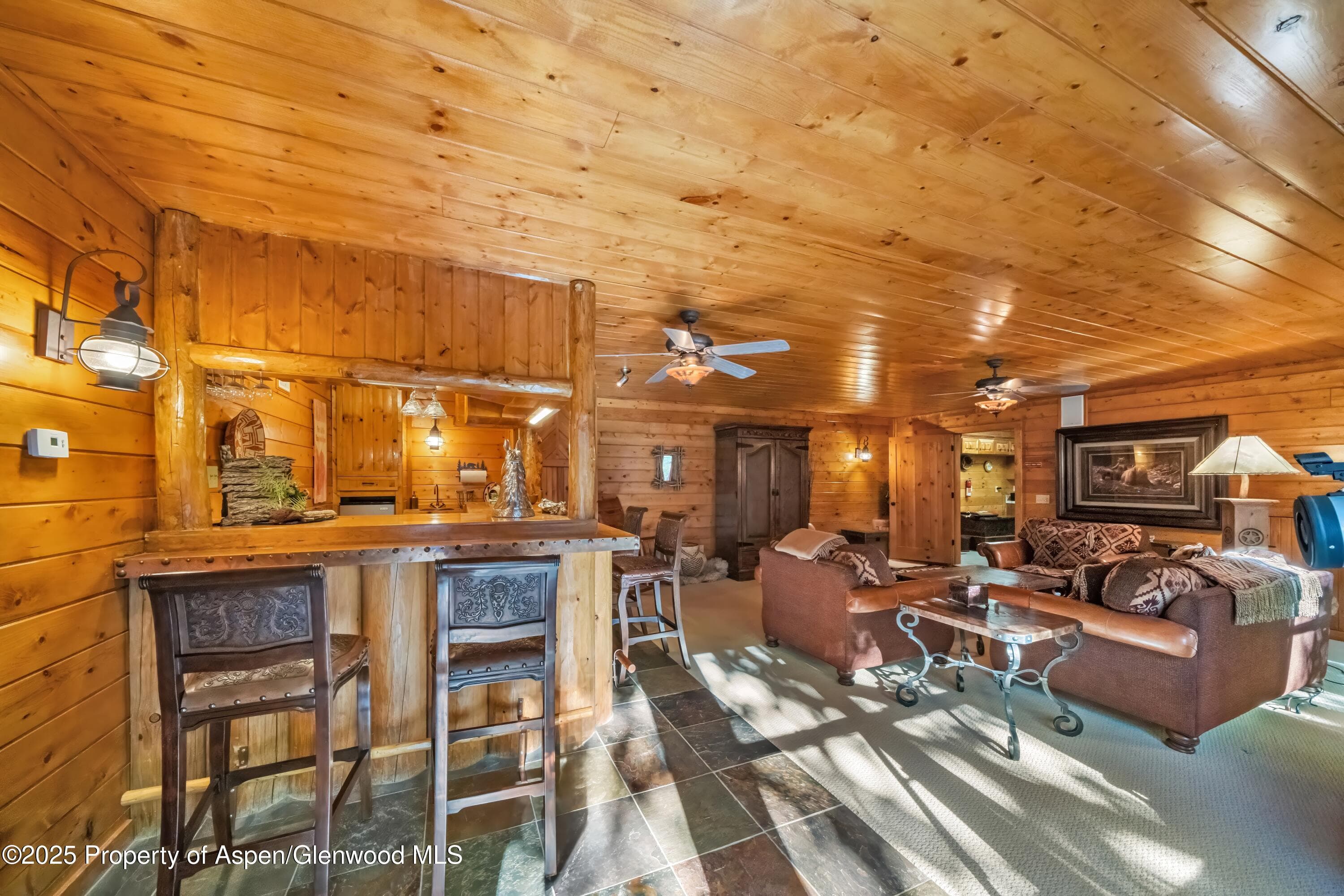 3115 State Hwy 9, Guffey, CO 80820 - Photo 29