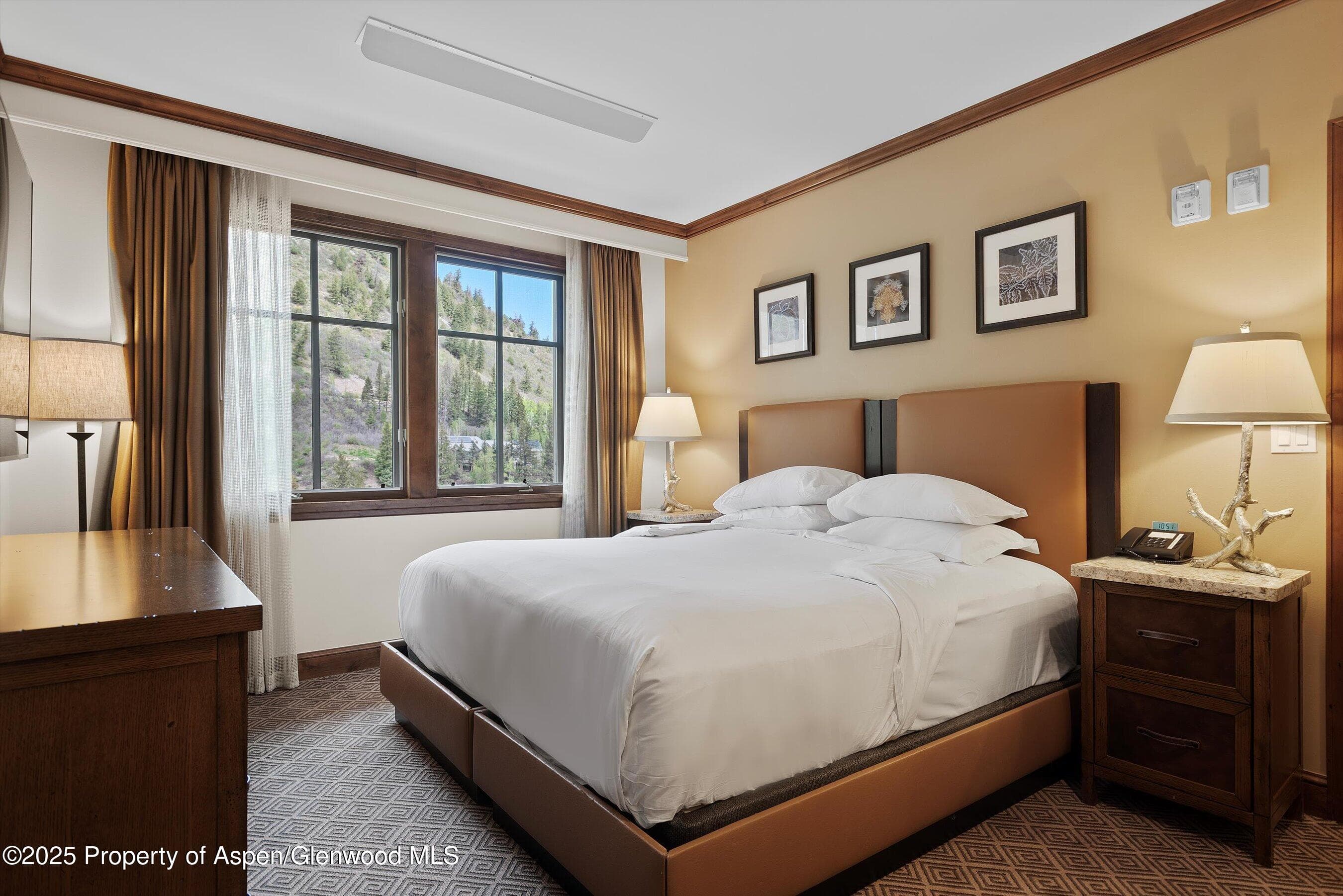 39 BOOMERANG Road 8411/ Winter Interest 14, Aspen, CO 81611 - Photo 15