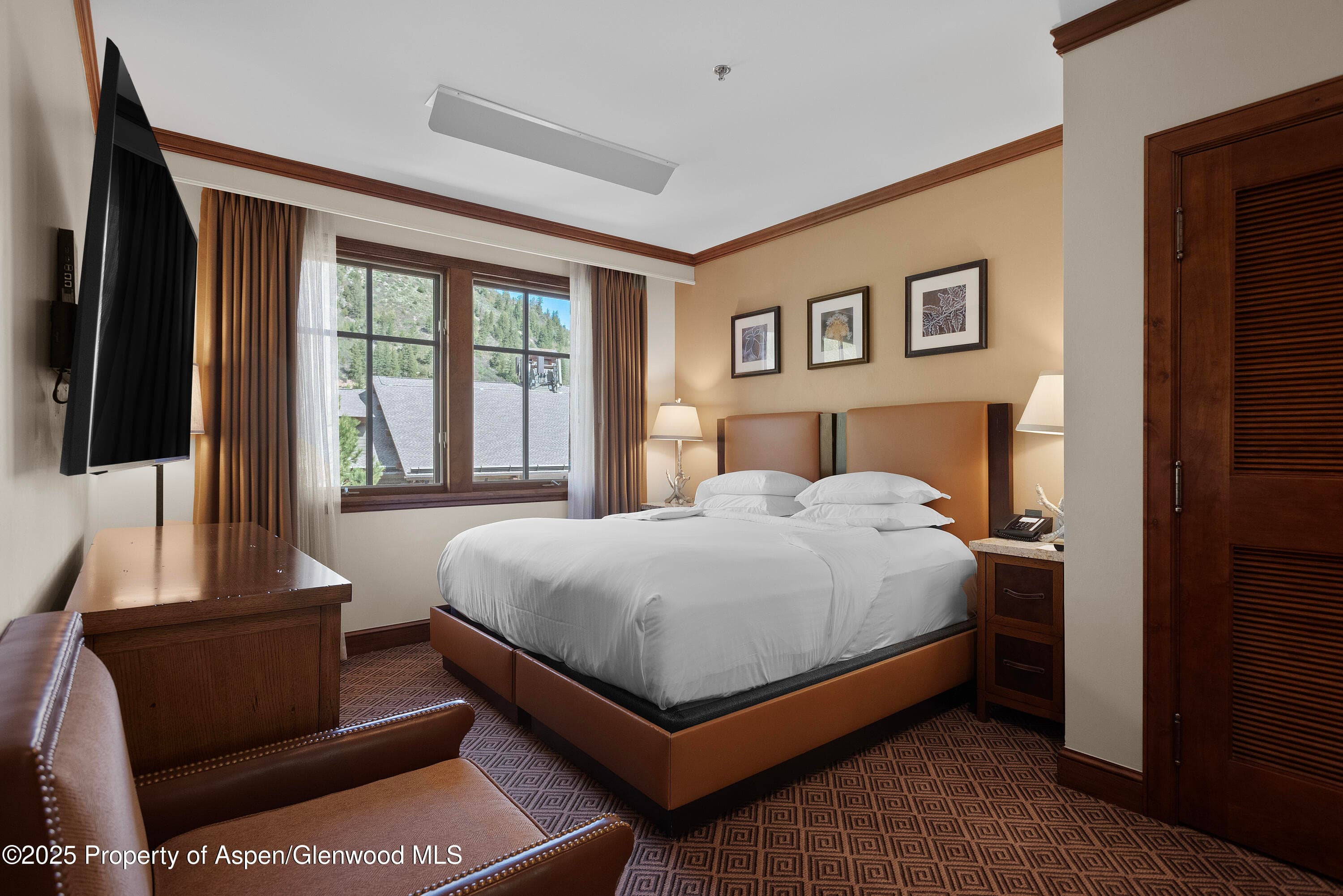 39 BOOMERANG Road 8402/Winter Interest 16, Aspen, CO 81611 - Photo 10
