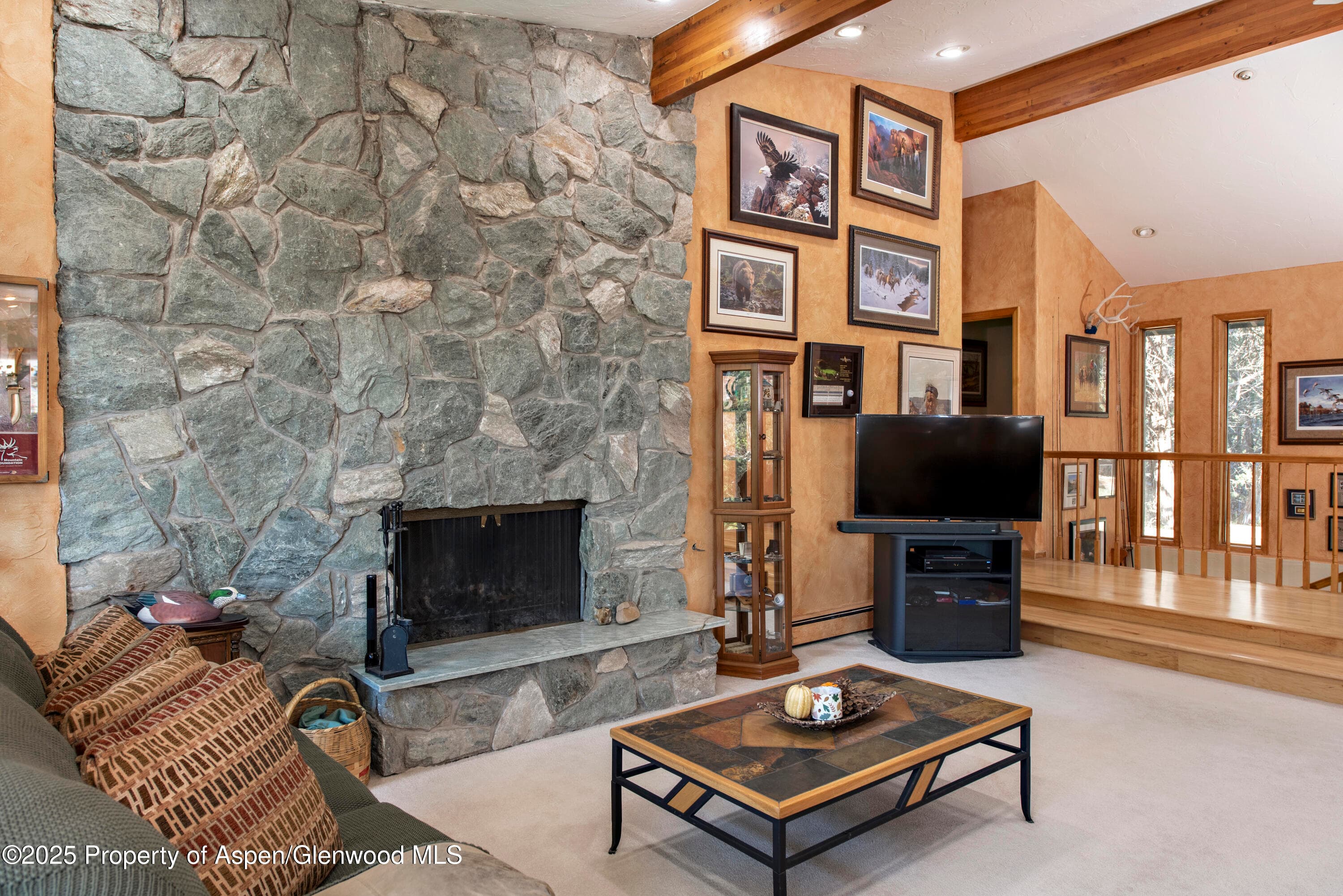 172 Sunny Acres Road, Glenwood Springs, CO 81601 - Photo 8