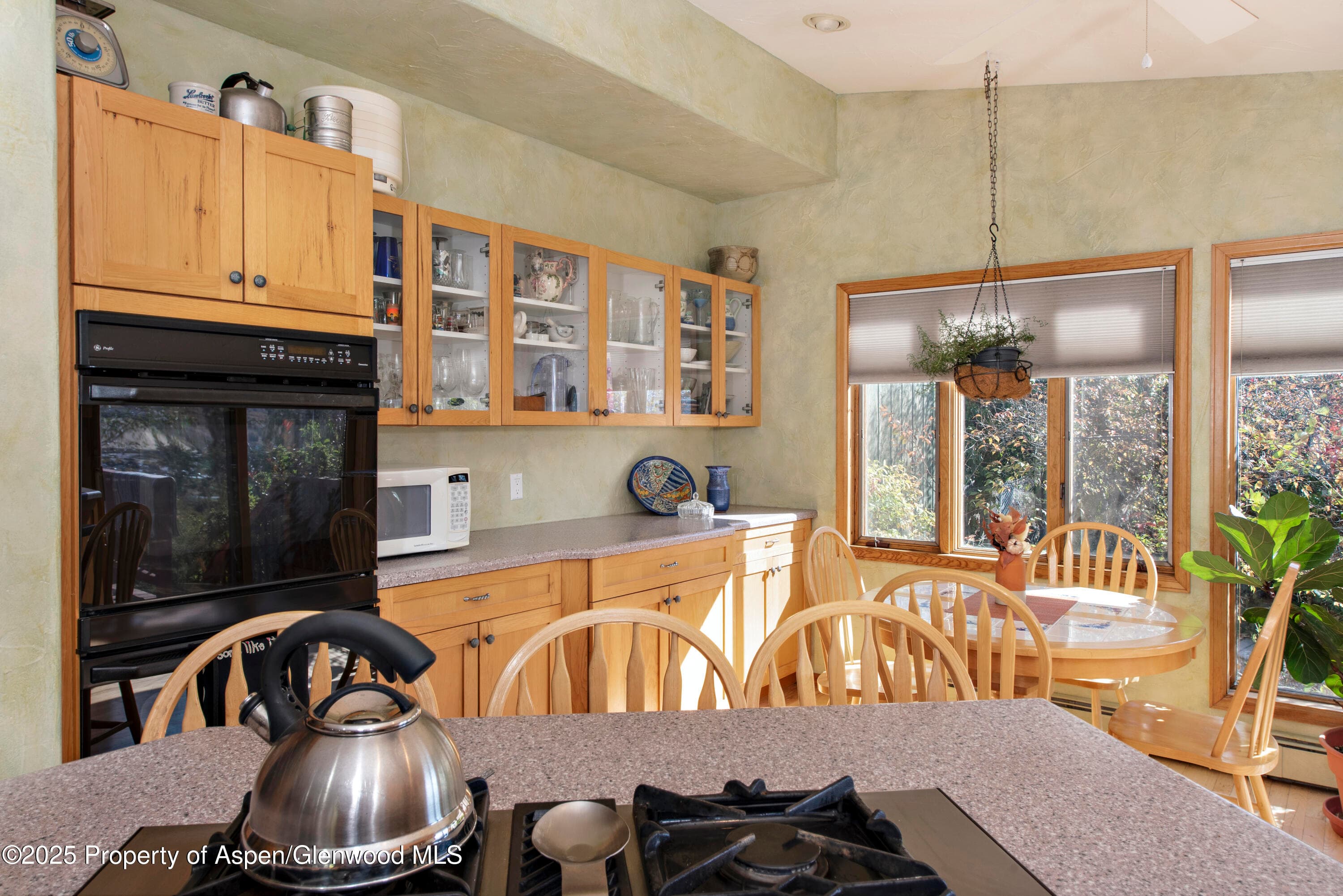 172 Sunny Acres Road, Glenwood Springs, CO 81601 - Photo 17