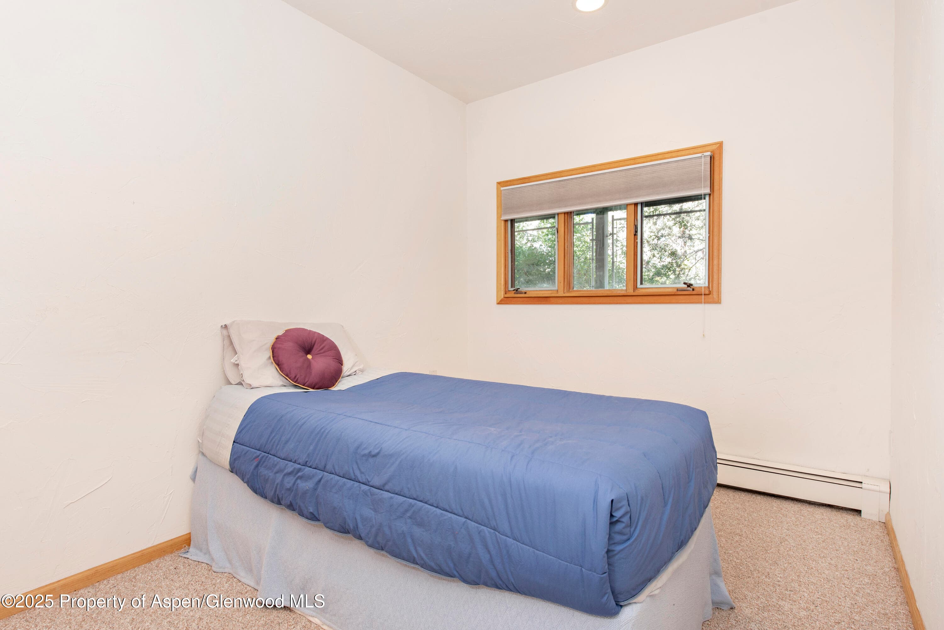 172 Sunny Acres Road, Glenwood Springs, CO 81601 - Photo 21