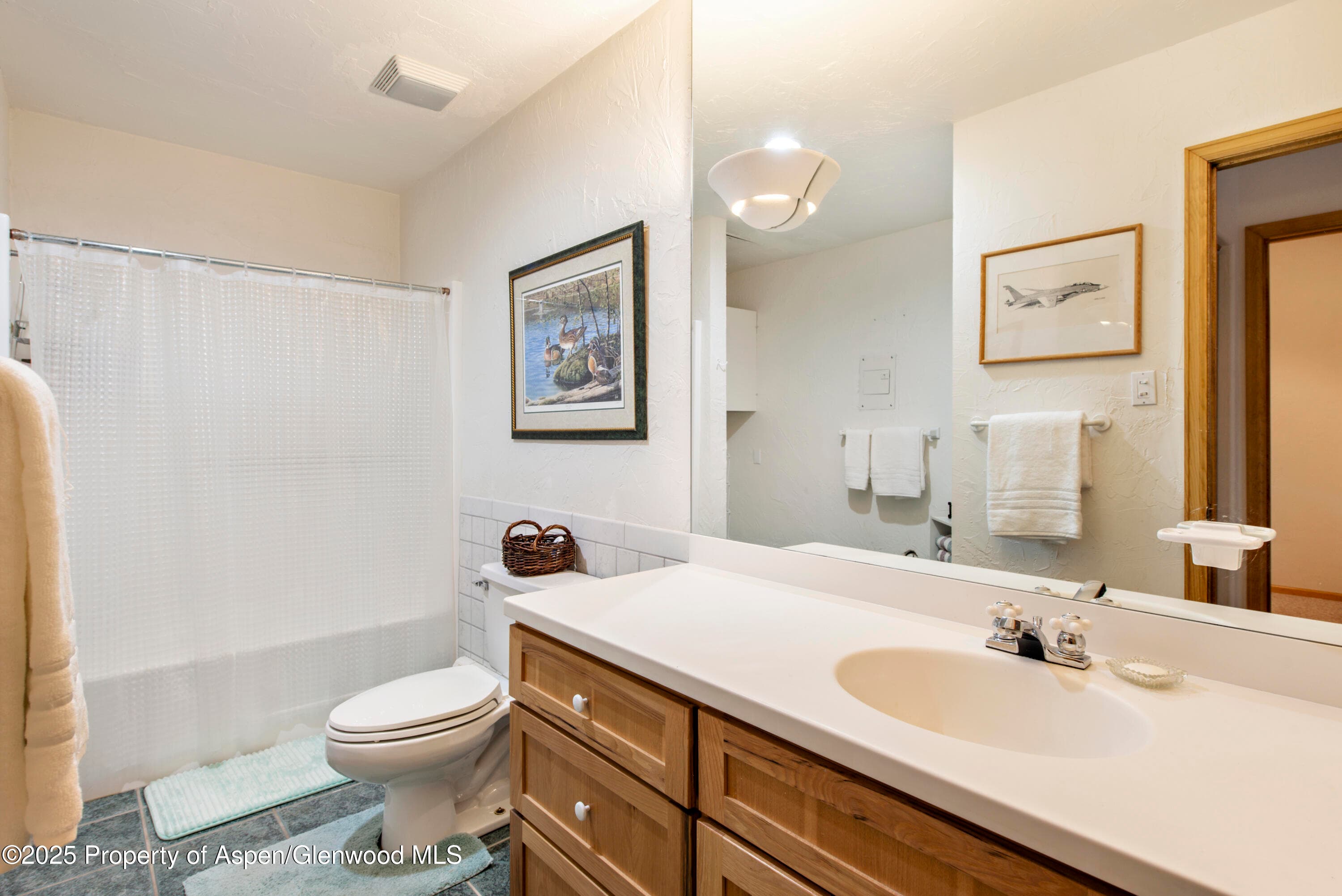 172 Sunny Acres Road, Glenwood Springs, CO 81601 - Photo 23