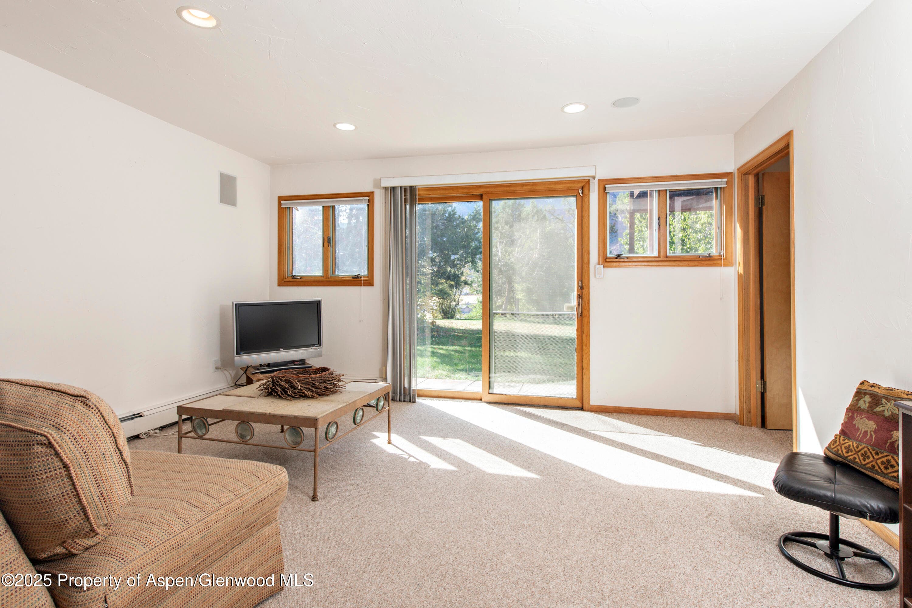 172 Sunny Acres Road, Glenwood Springs, CO 81601 - Photo 24