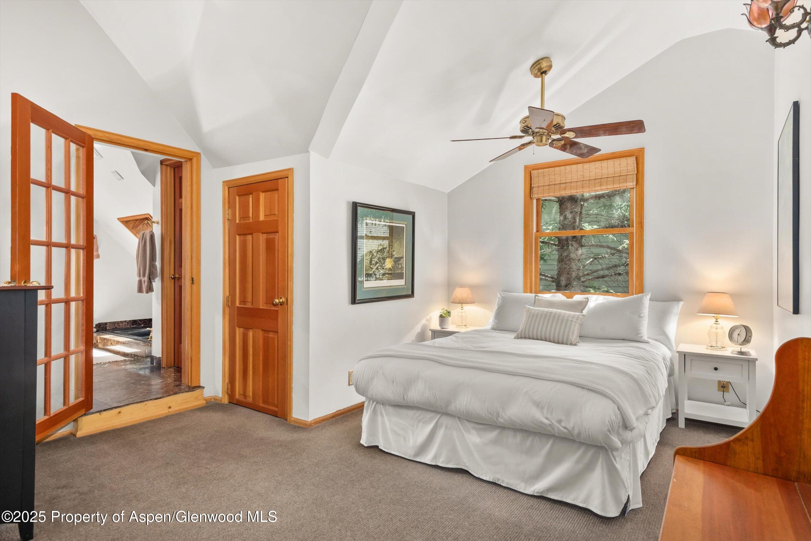 126 W FRANCIS Street, Aspen, CO 81611 - Photo 8