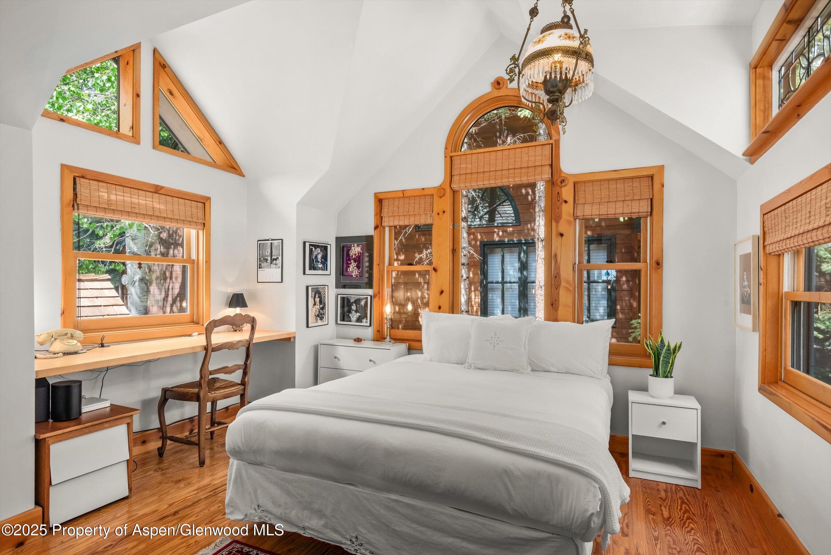 126 W FRANCIS Street, Aspen, CO 81611 - Photo 10