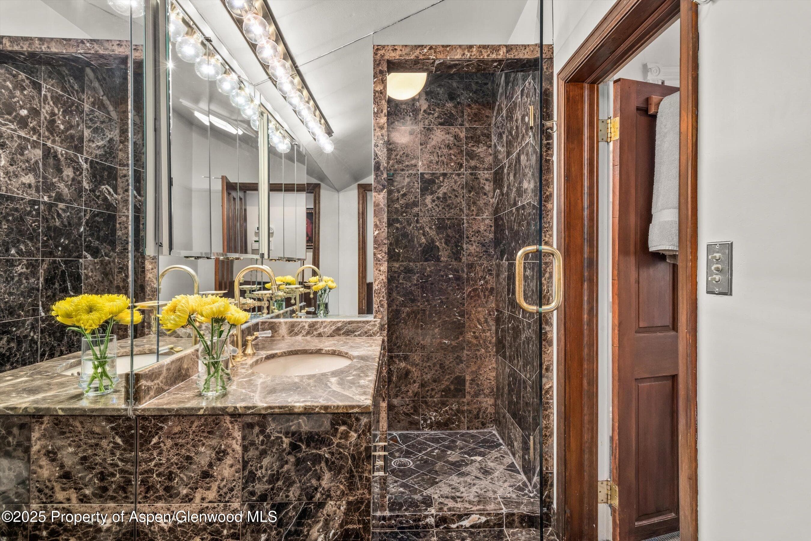 126 W FRANCIS Street, Aspen, CO 81611 - Photo 13