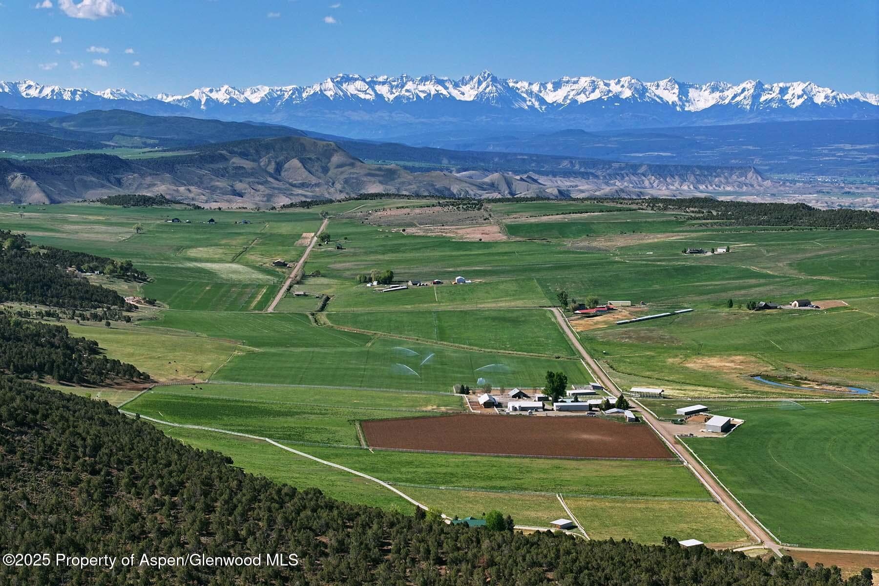 10676 Bostwick Road, Montrose, CO 81401 - Photo 2
