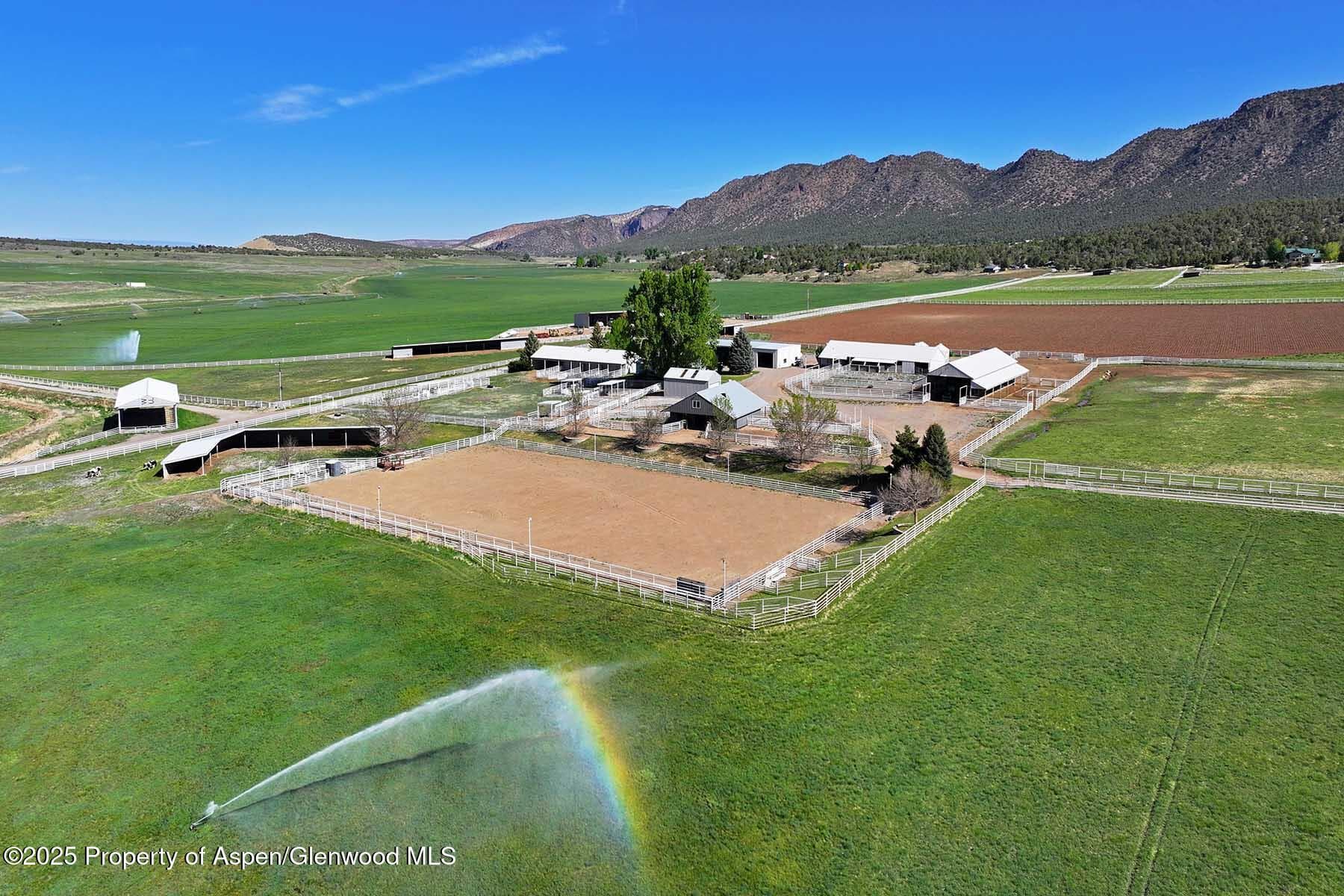 10676 Bostwick Road, Montrose, CO 81401 - Photo 6