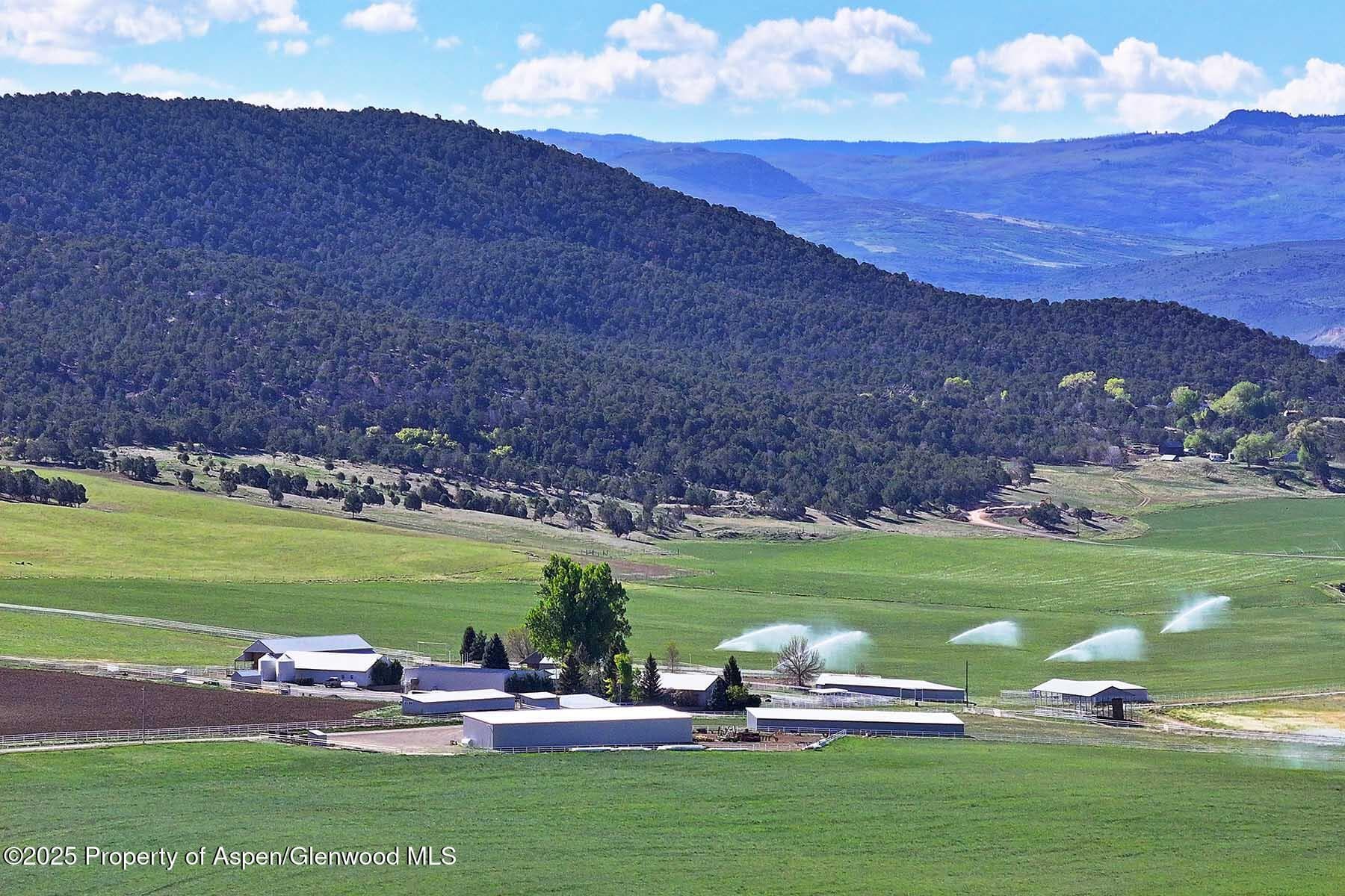 10676 Bostwick Road, Montrose, CO 81401 - Photo 7