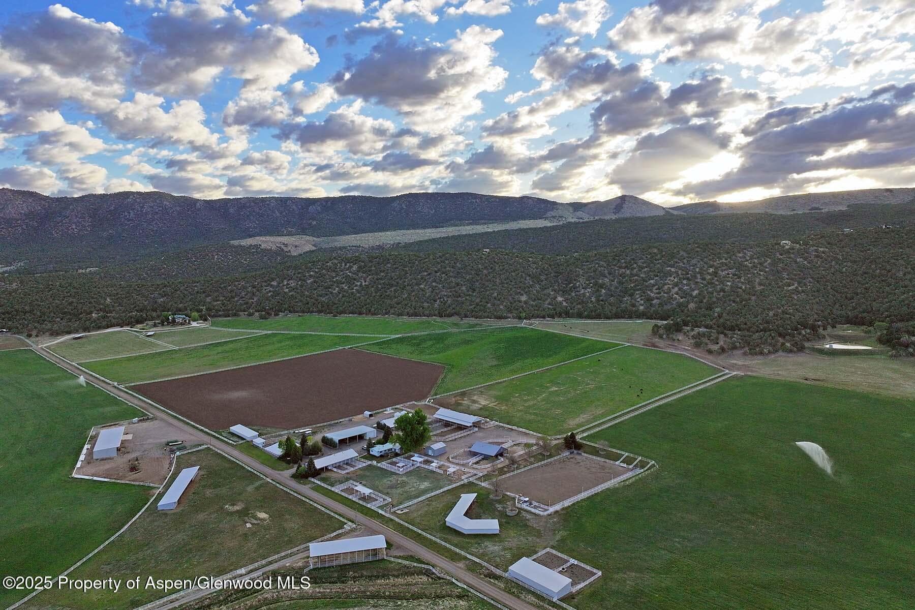 10676 Bostwick Road, Montrose, CO 81401 - Photo 12