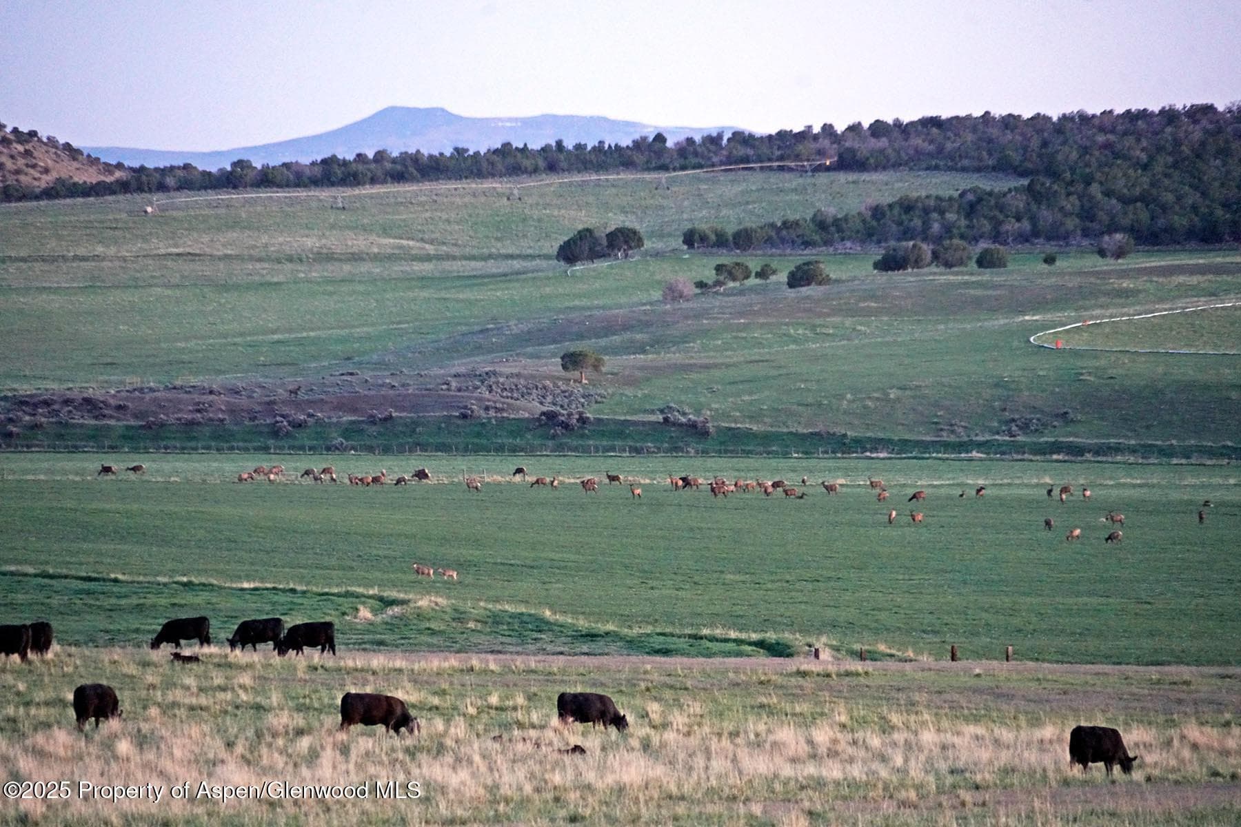 10676 Bostwick Road, Montrose, CO 81401 - Photo 17