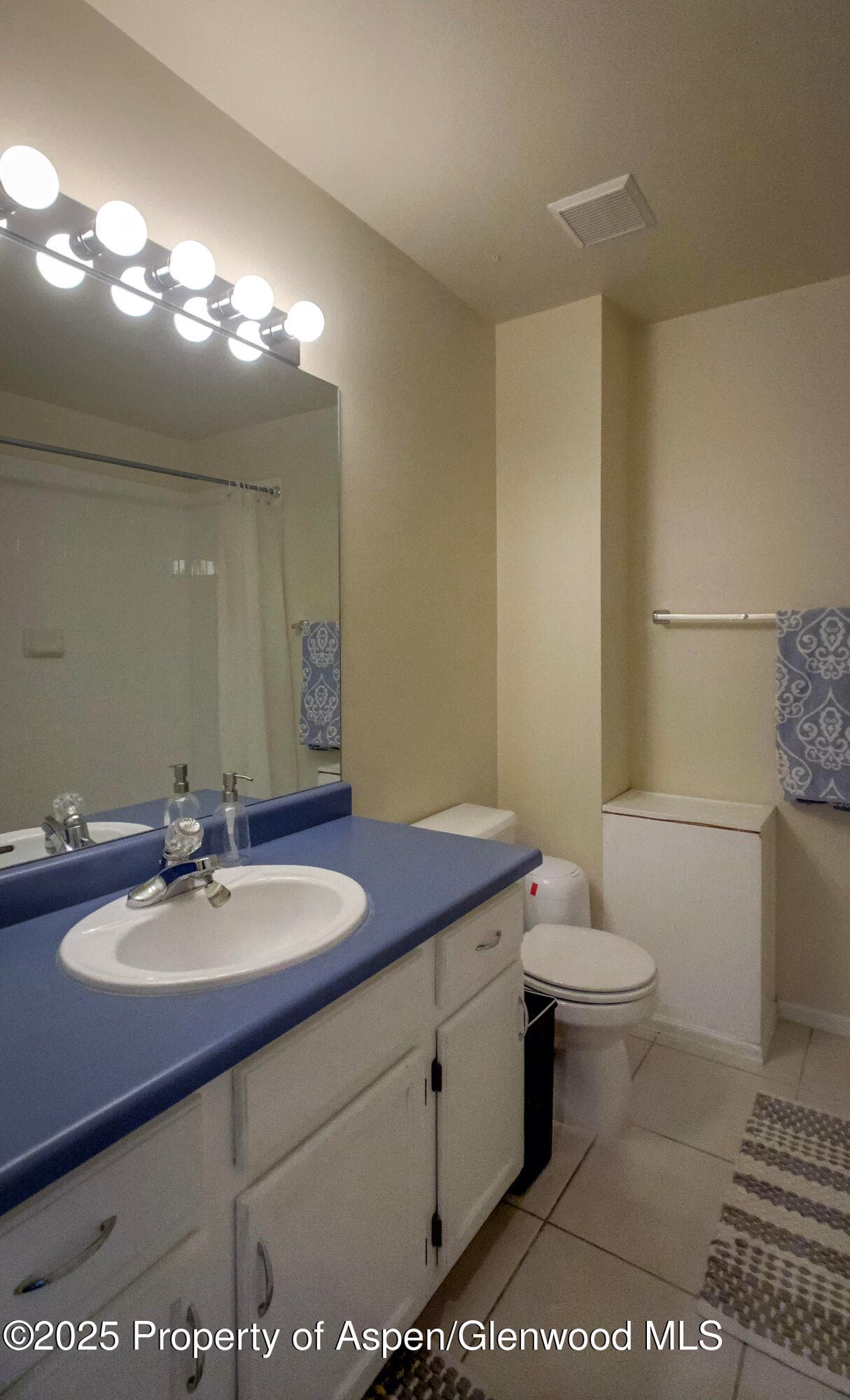 1207 Mountain Drive, Glenwood Springs, CO 81601 - Photo 21