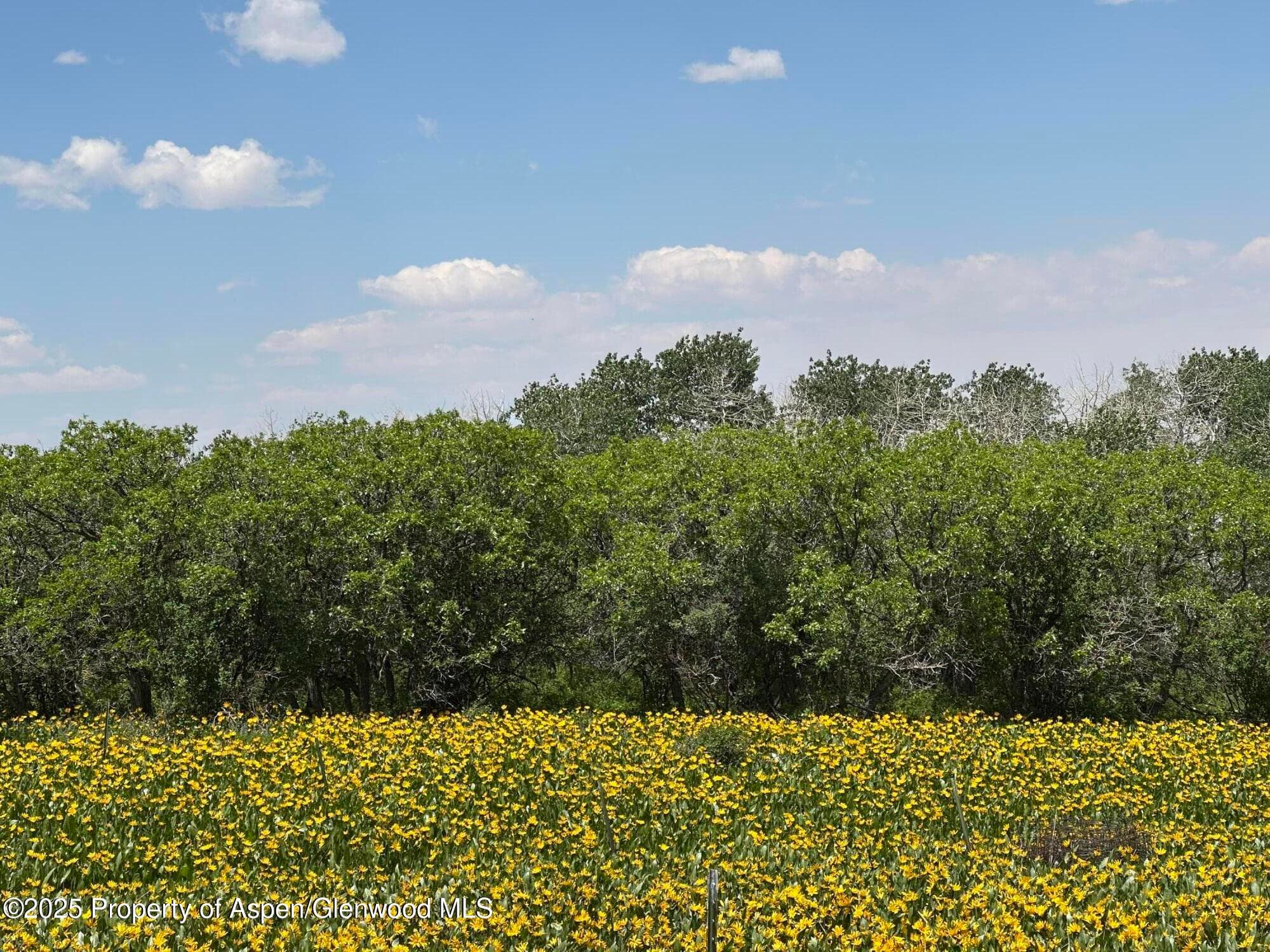 2025 Timberlane Drive, Craig, CO 81625 - Photo 14
