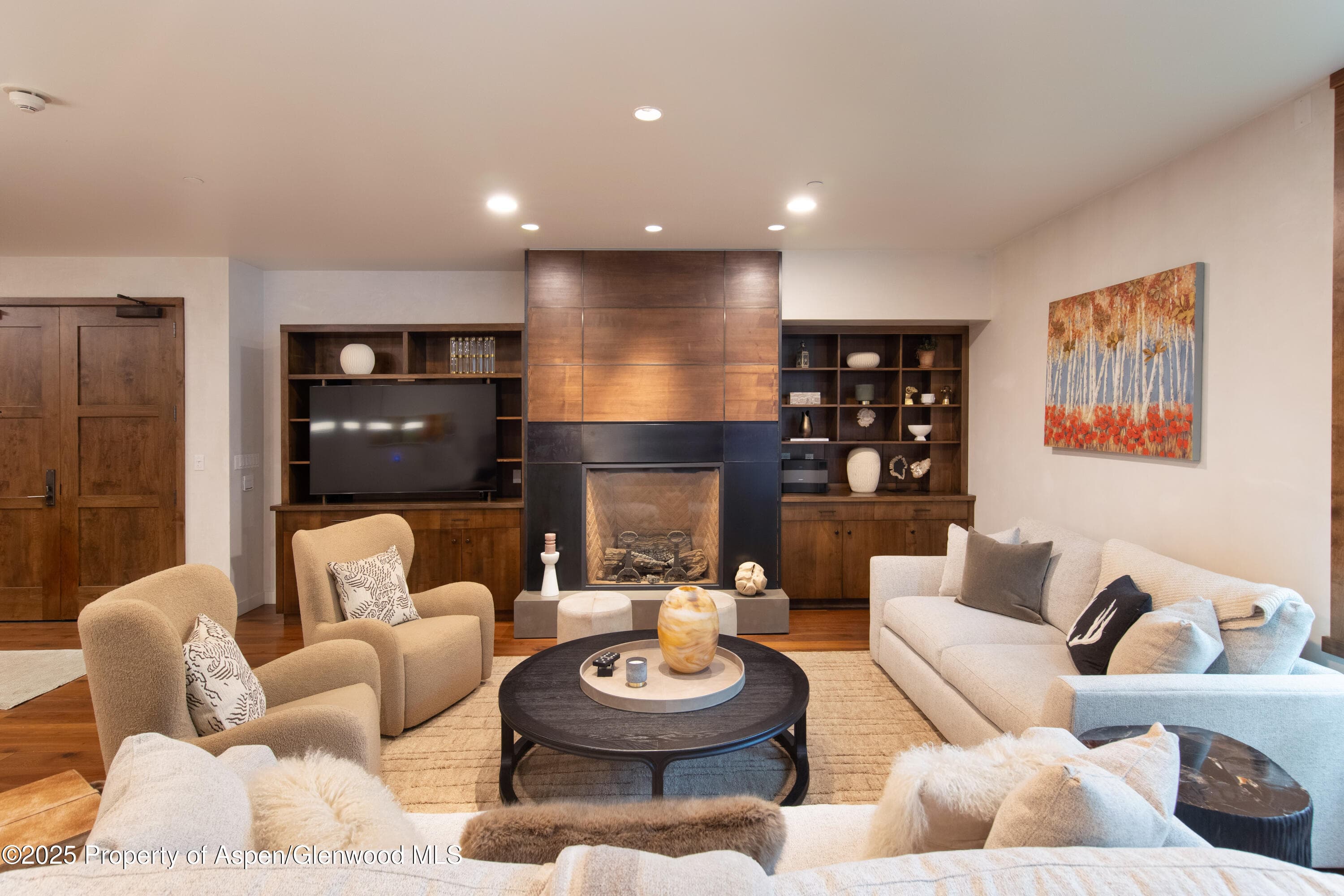 233 E Cooper Avenue 104, Aspen, CO 81611 - Photo 3