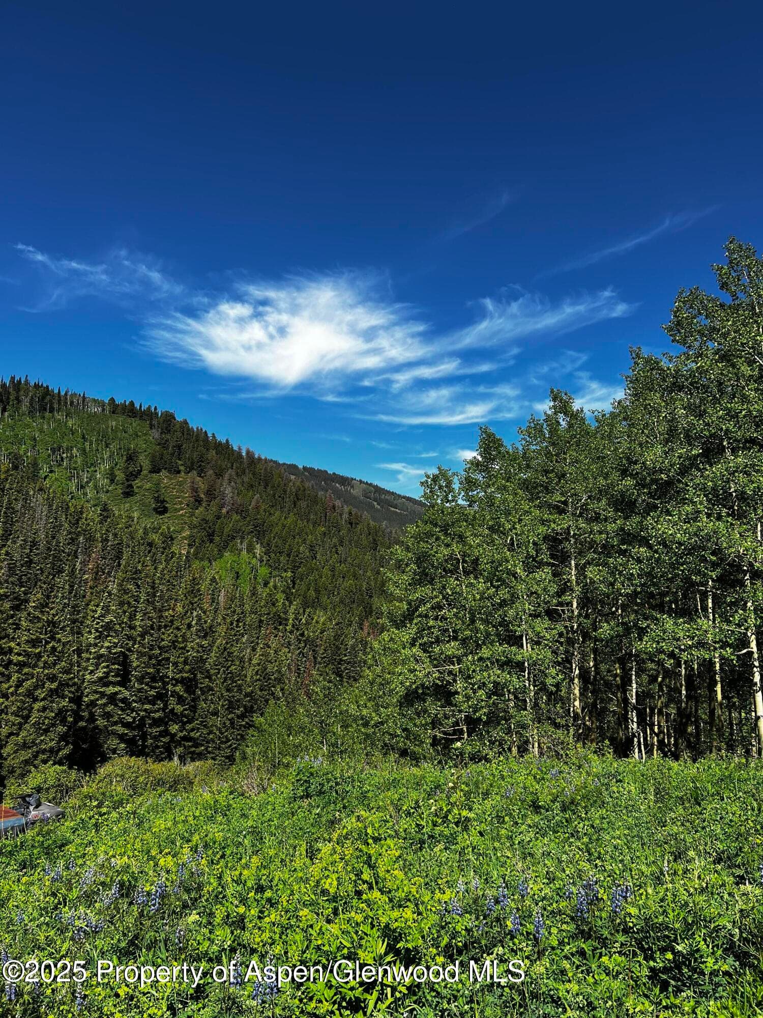2601 Midnight Mine Road Road, Aspen, CO 81611 - Photo 1