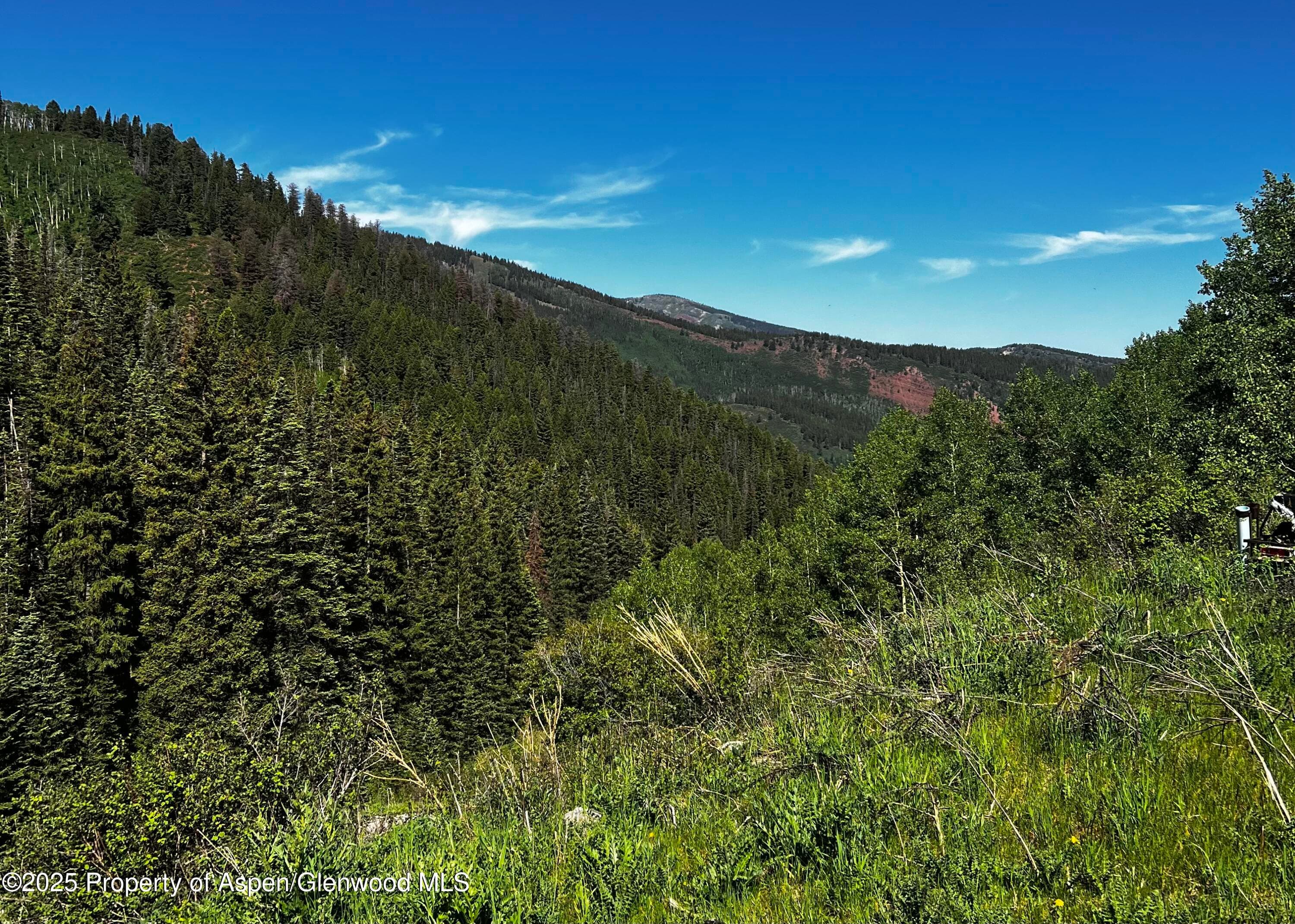 2601 Midnight Mine Road Road, Aspen, CO 81611 - Photo 4