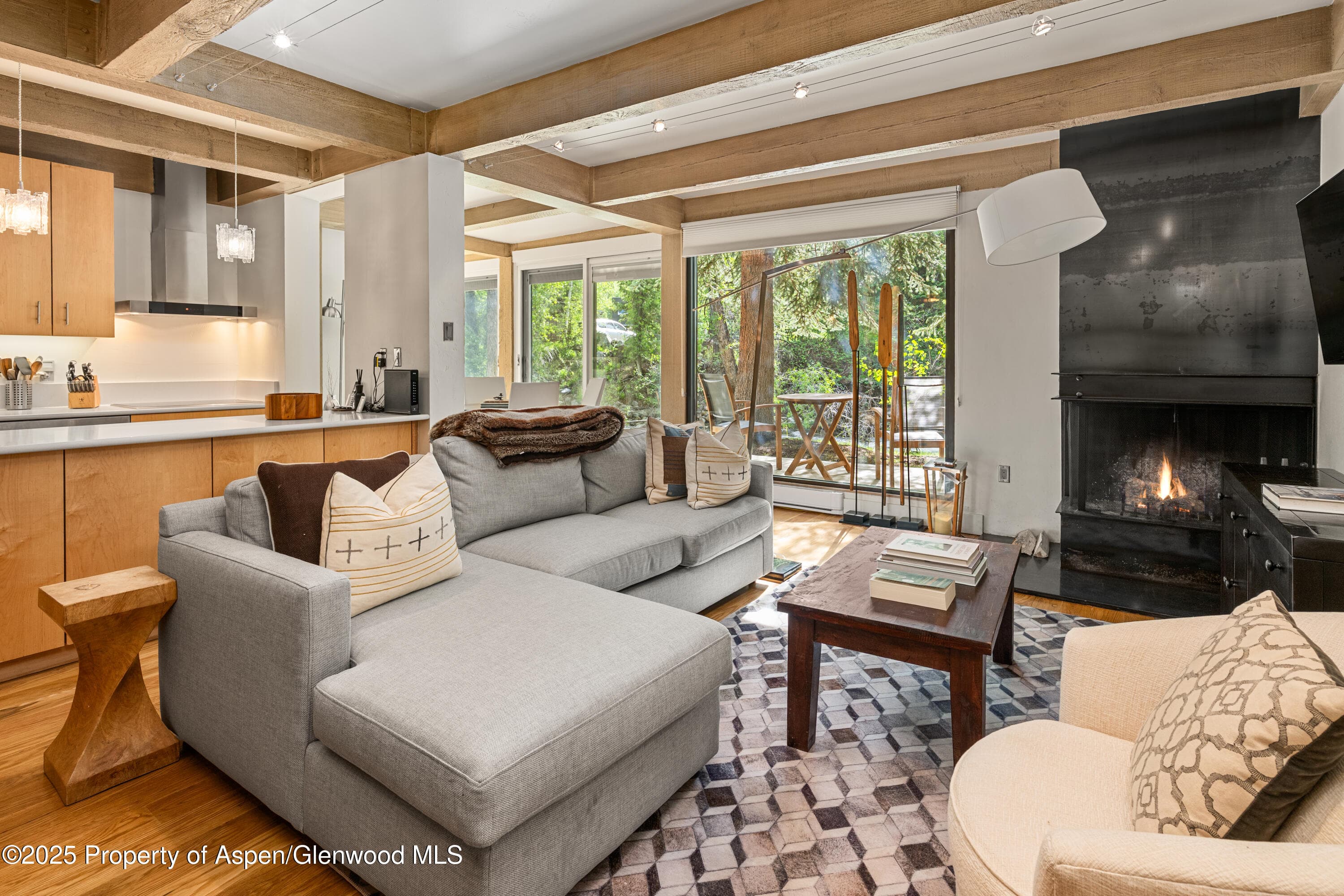 1034 E Cooper Avenue 24, Aspen, CO 81611 - Photo 3
