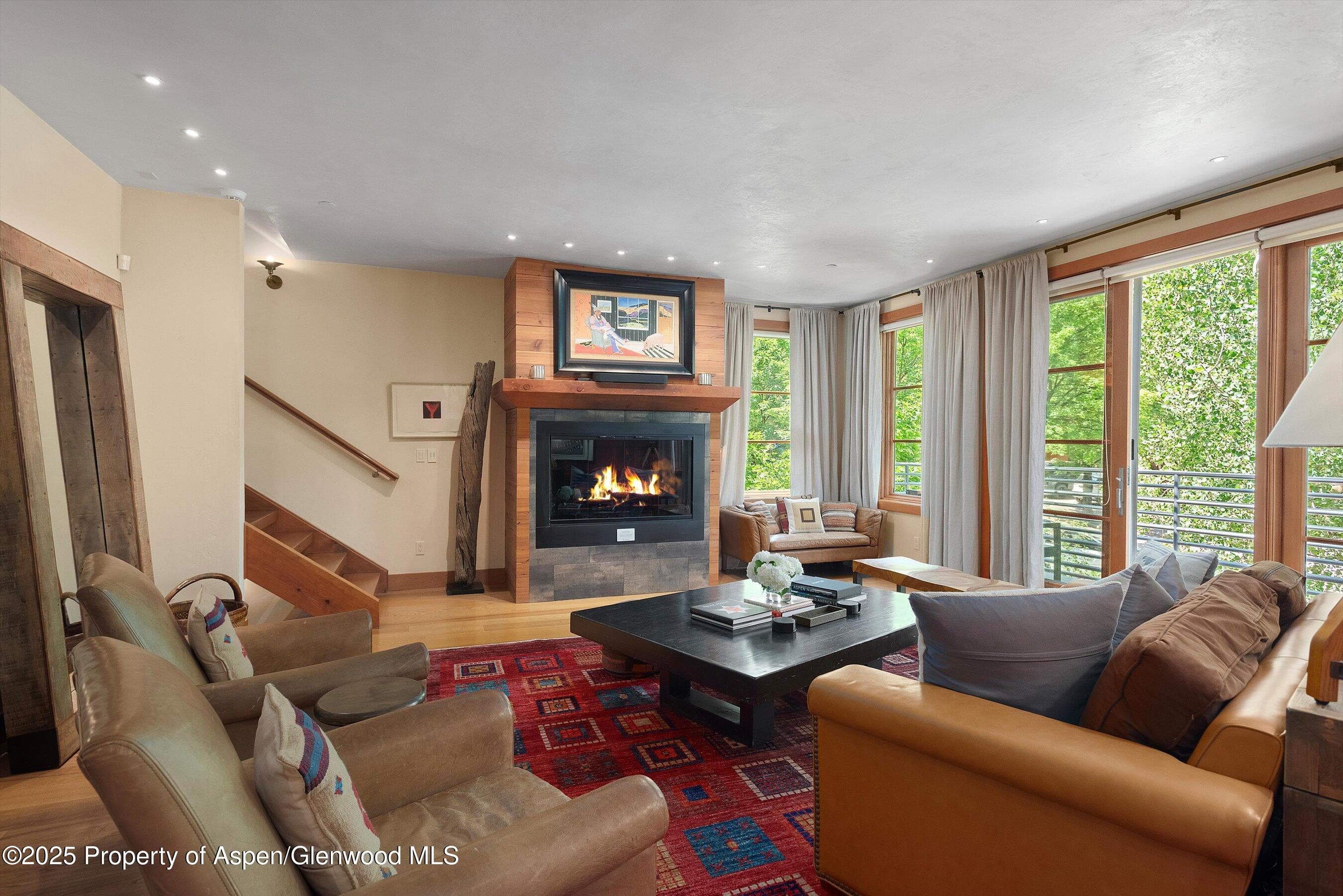 714 S Galena Street B, Aspen, CO 81611 - Photo 2