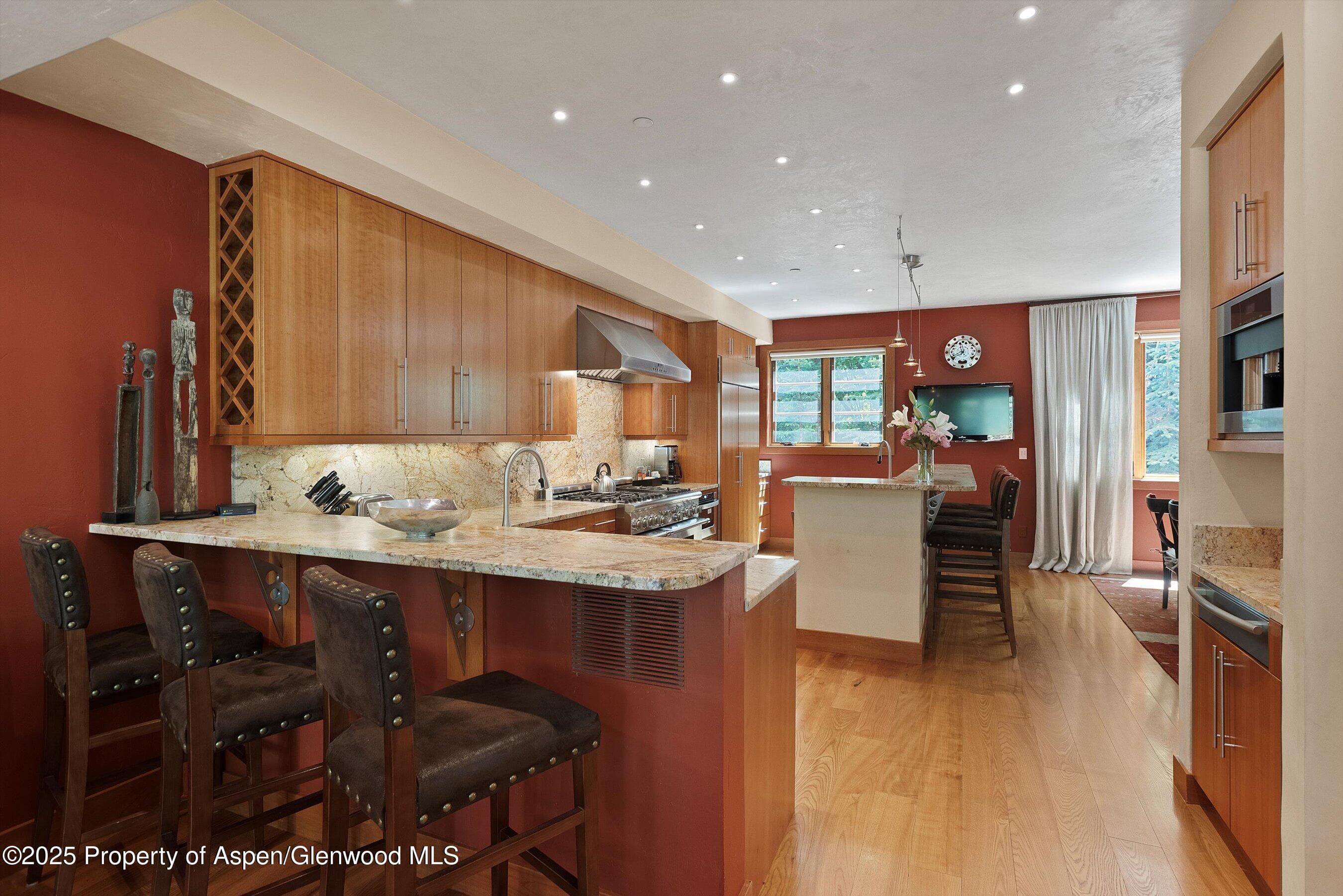 714 S Galena Street B, Aspen, CO 81611 - Photo 8