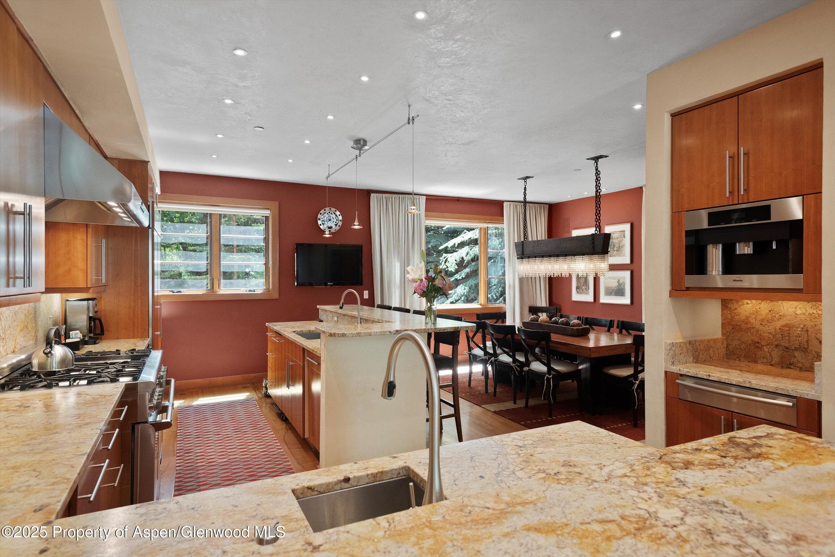 714 S Galena Street B, Aspen, CO 81611 - Photo 9