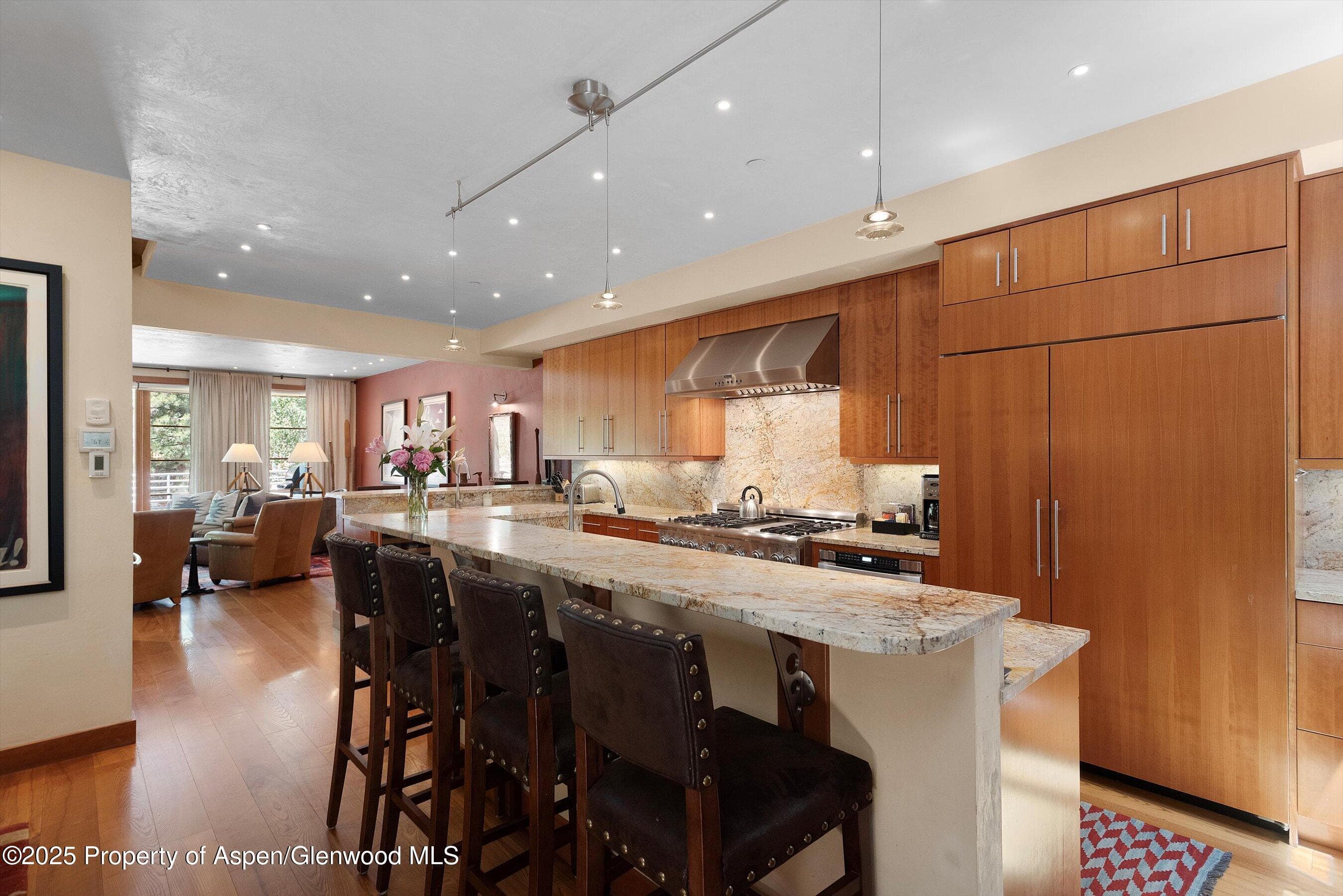 714 S Galena Street B, Aspen, CO 81611 - Photo 7