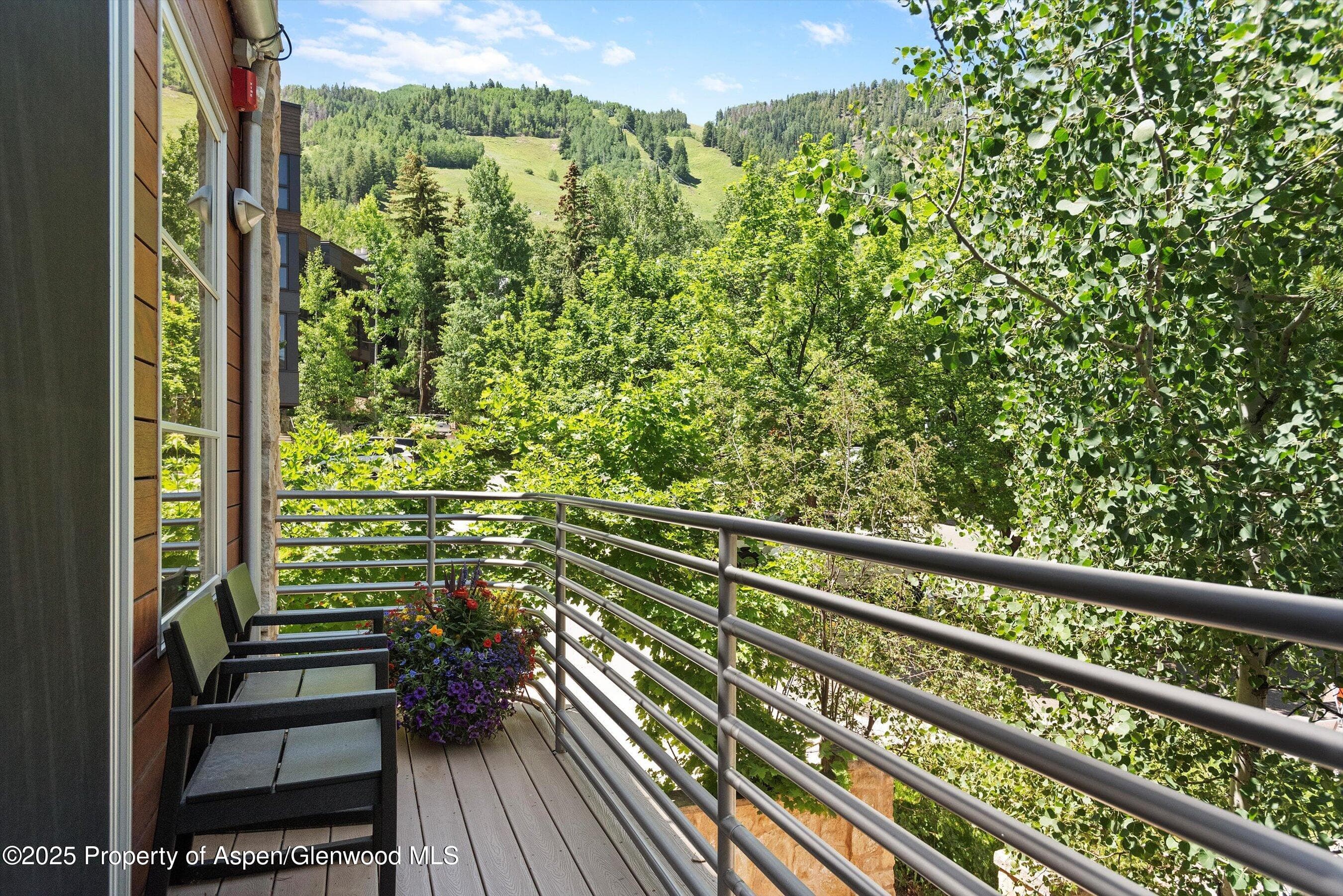714 S Galena Street B, Aspen, CO 81611 - Photo 5