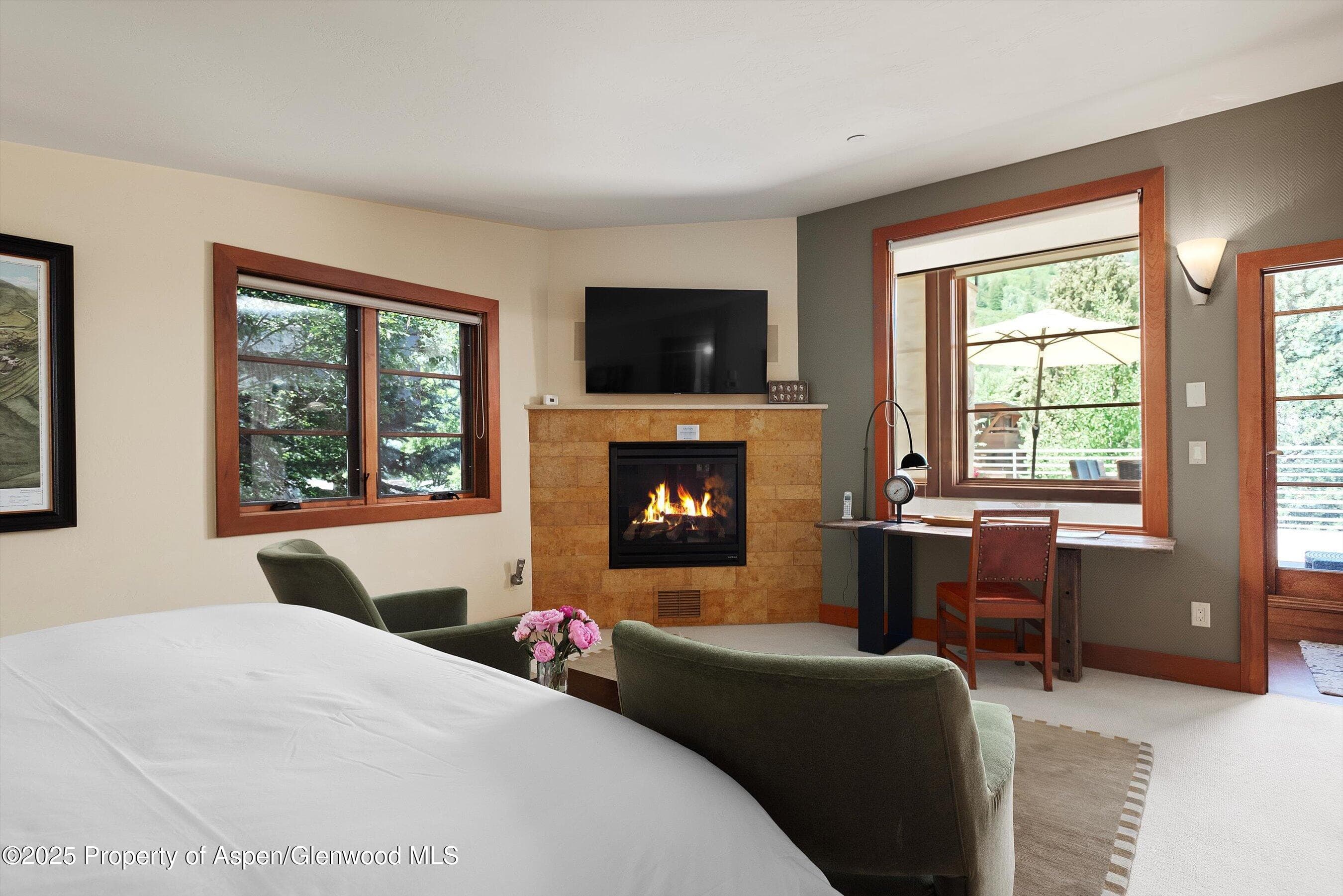 714 S Galena Street B, Aspen, CO 81611 - Photo 14
