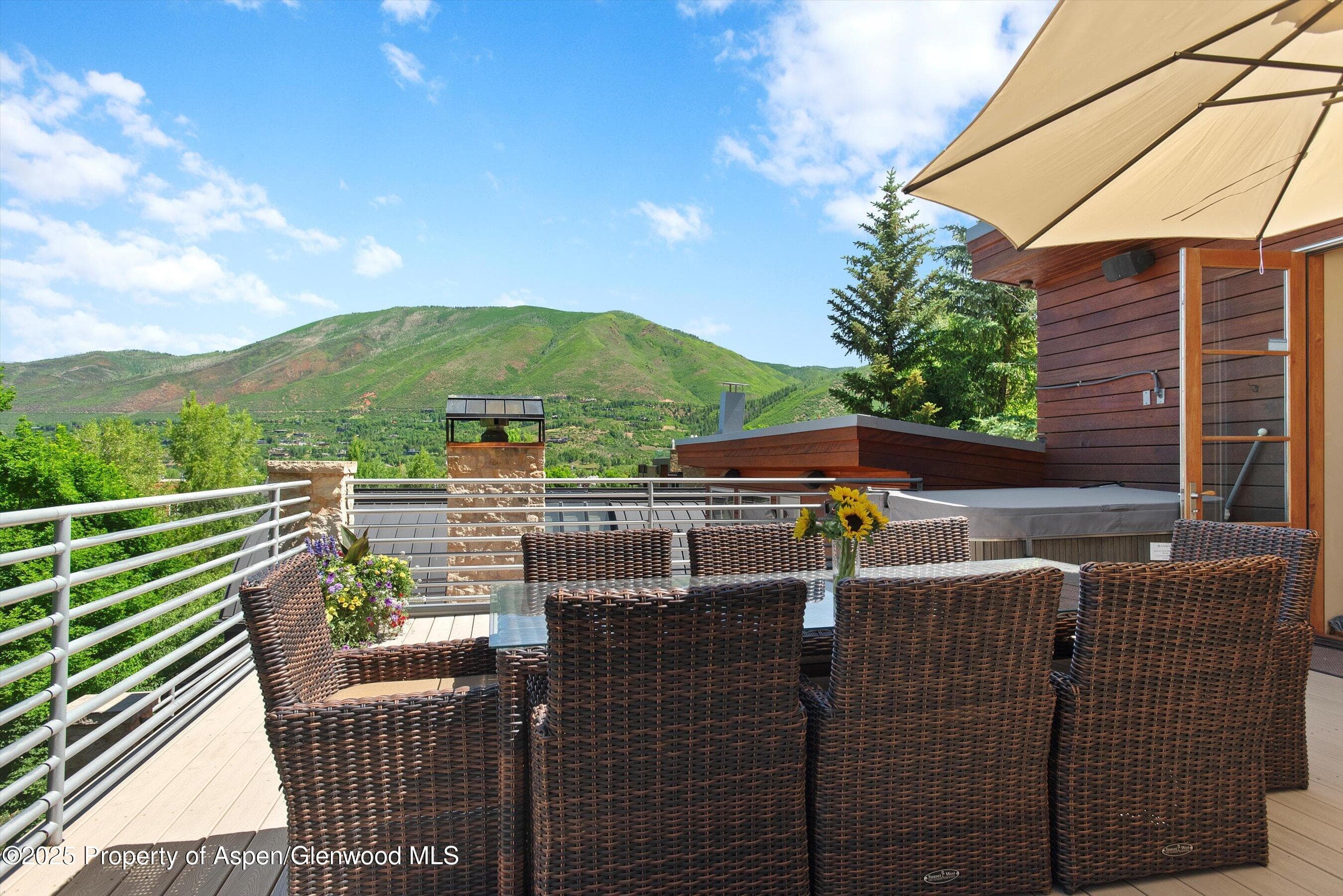 714 S Galena Street B, Aspen, CO 81611 - Photo 20
