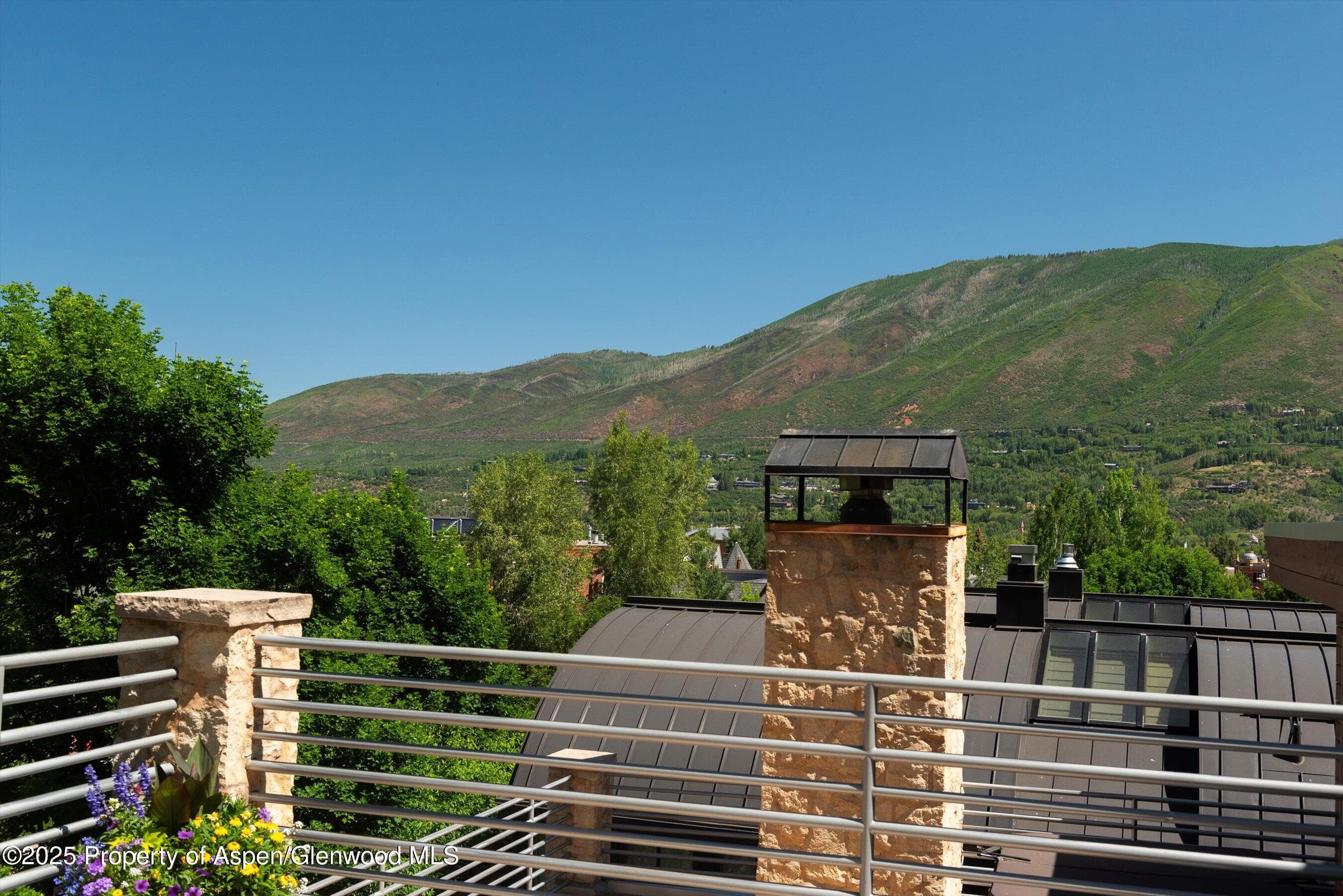 714 S Galena Street B, Aspen, CO 81611 - Photo 23