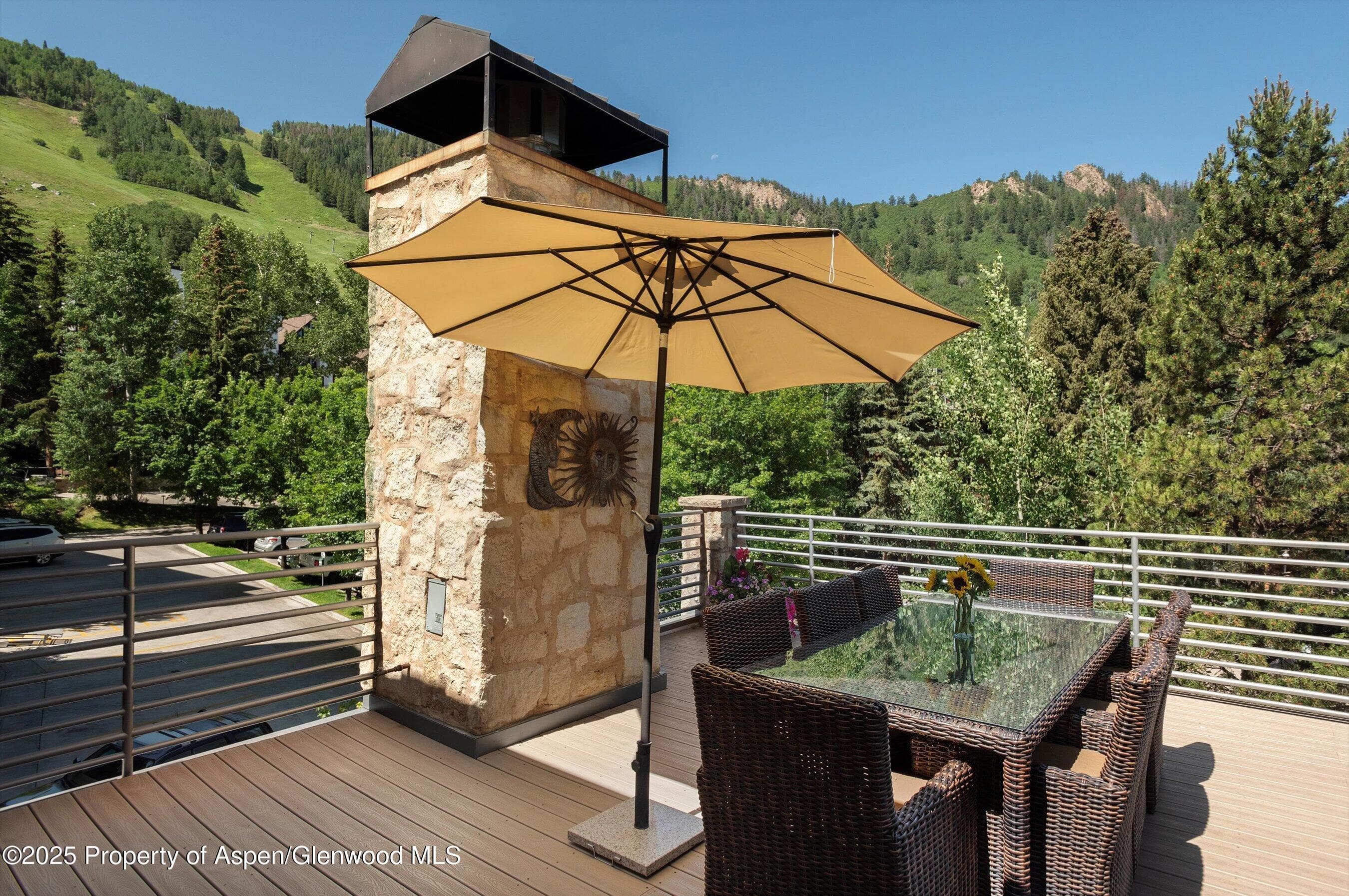 714 S Galena Street B, Aspen, CO 81611 - Photo 18