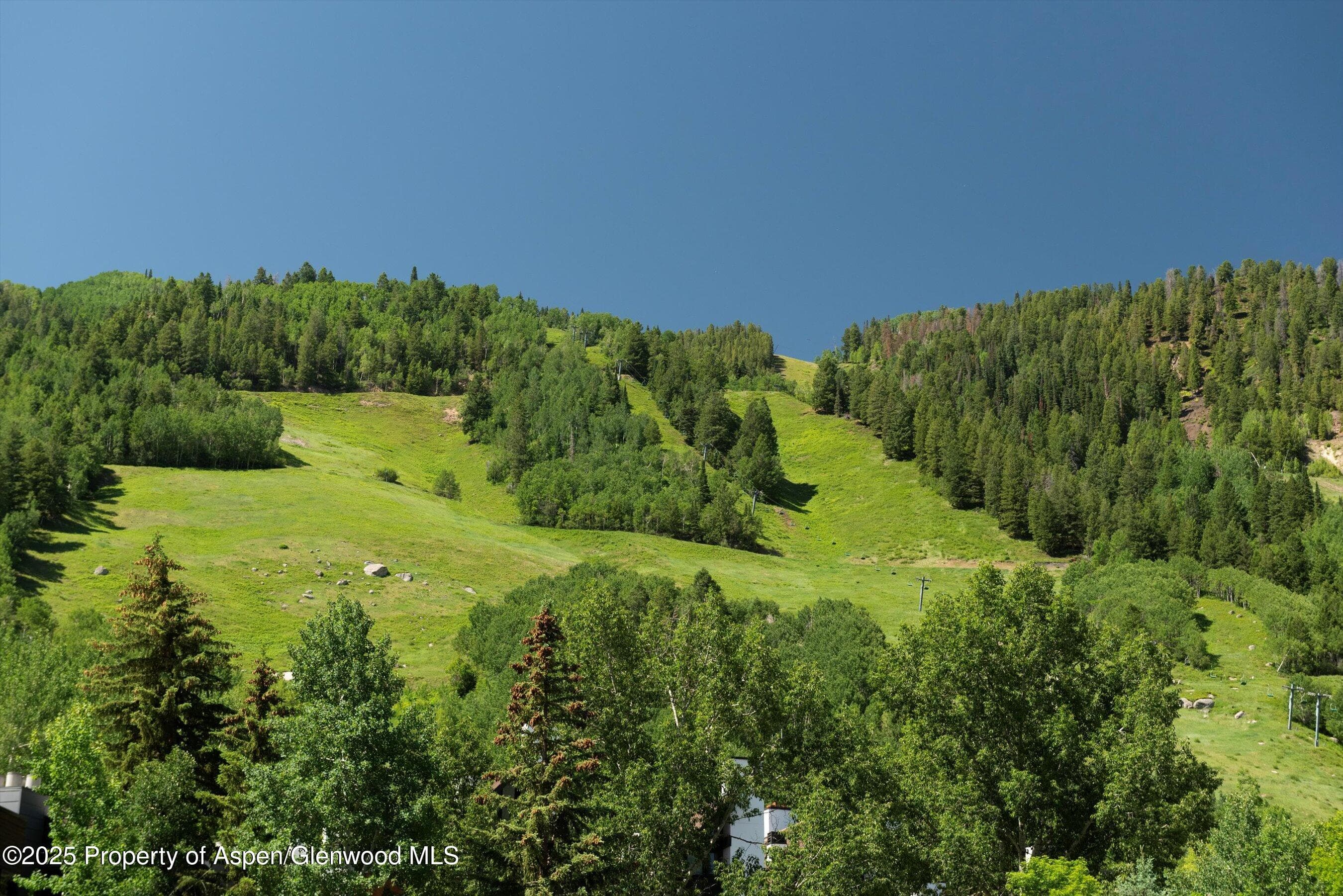714 S Galena Street B, Aspen, CO 81611 - Photo 26