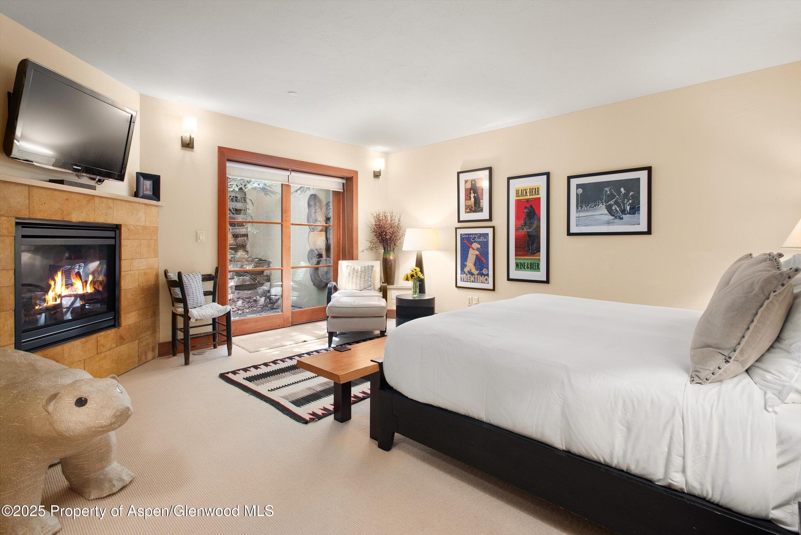 714 S Galena Street B, Aspen, CO 81611 - Photo 29