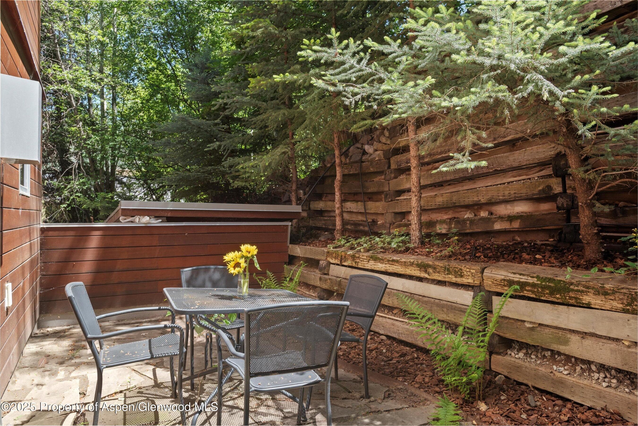 714 S Galena Street B, Aspen, CO 81611 - Photo 30