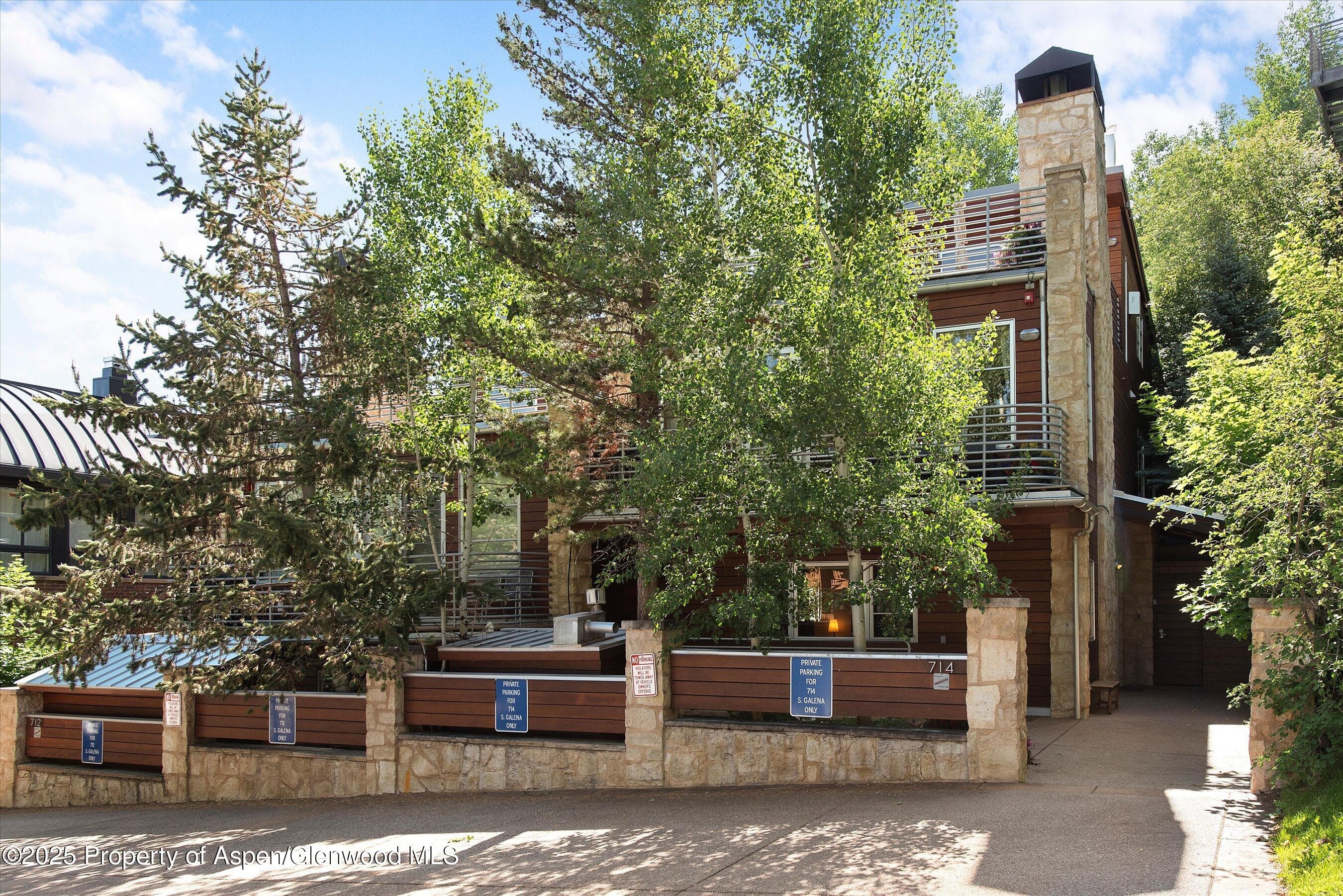 714 S Galena Street B, Aspen, CO 81611 - Photo 41