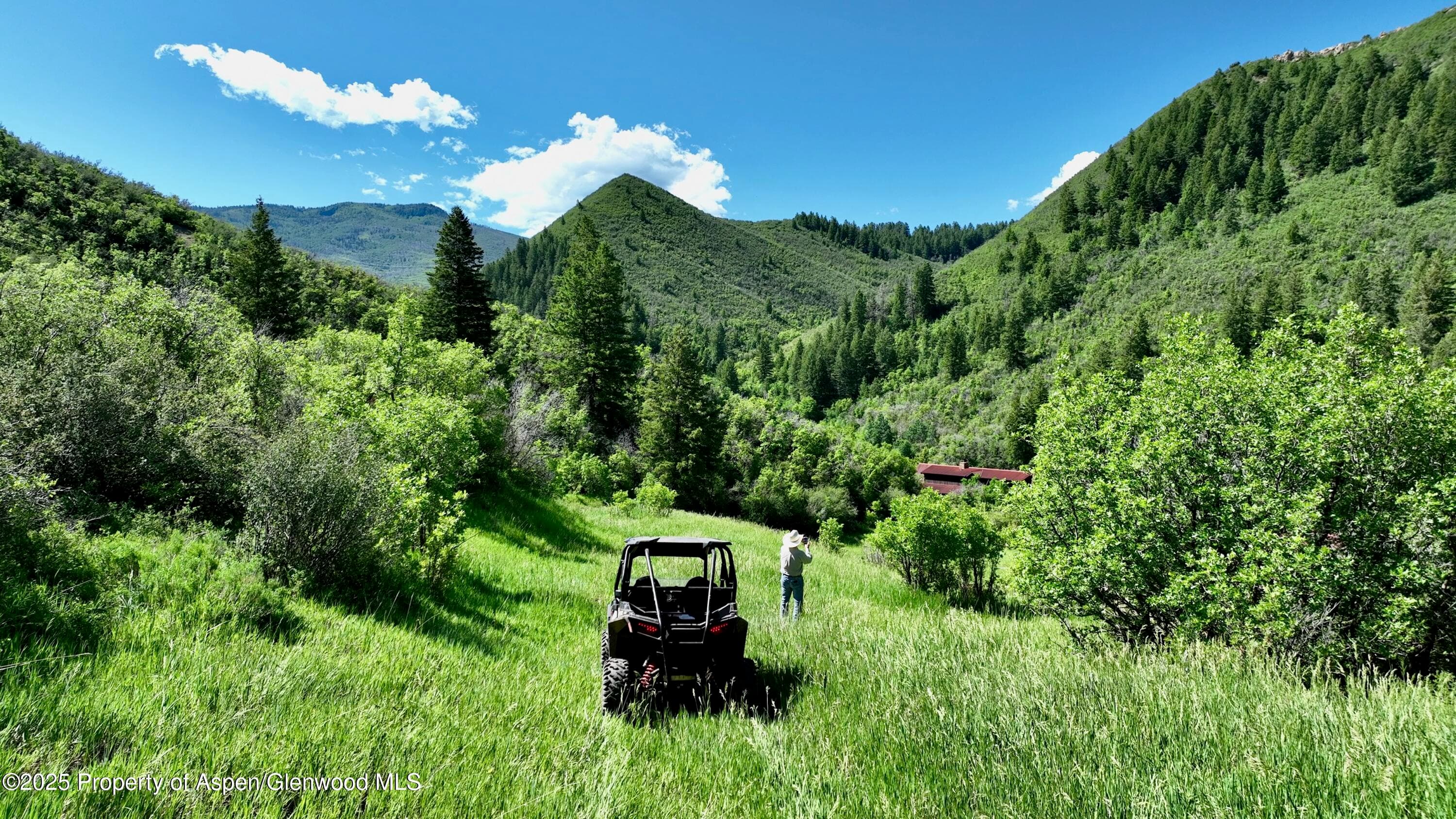 3465 134 County Road, Glenwood Springs, CO 81601 - Photo 4
