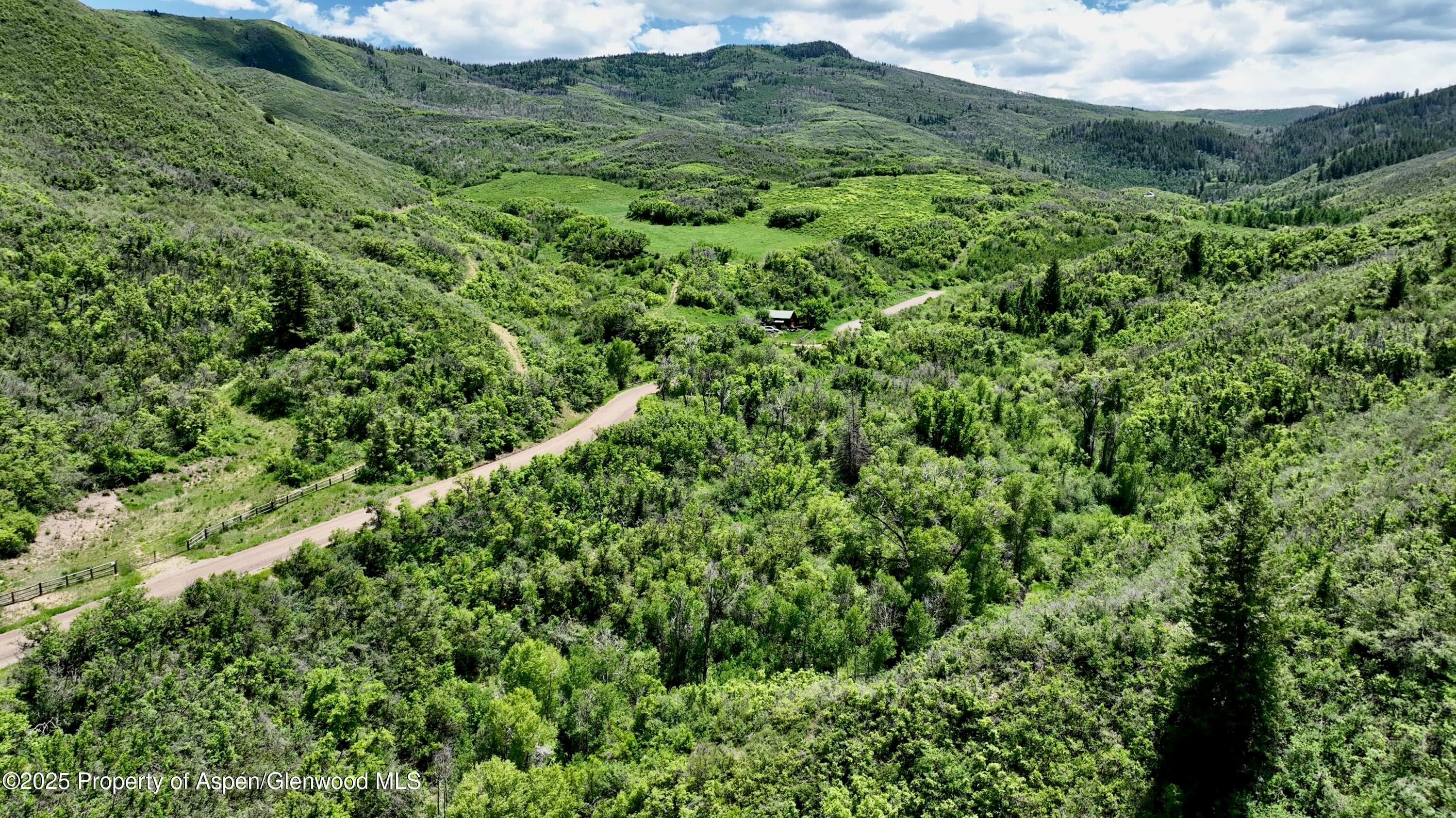 3465 134 County Road, Glenwood Springs, CO 81601 - Photo 9