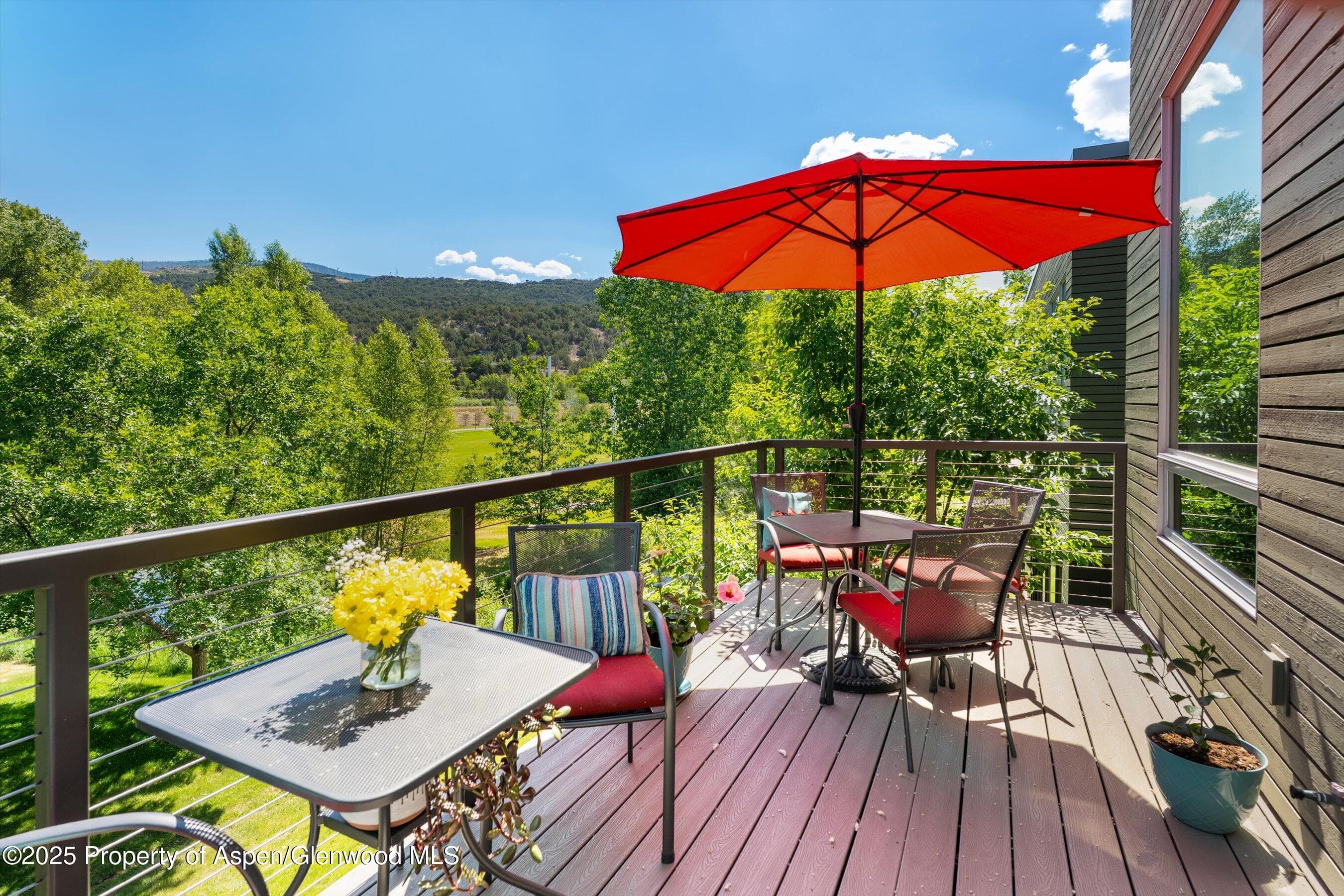 202 Evans Road 202, Basalt, CO 81621 - Photo 15
