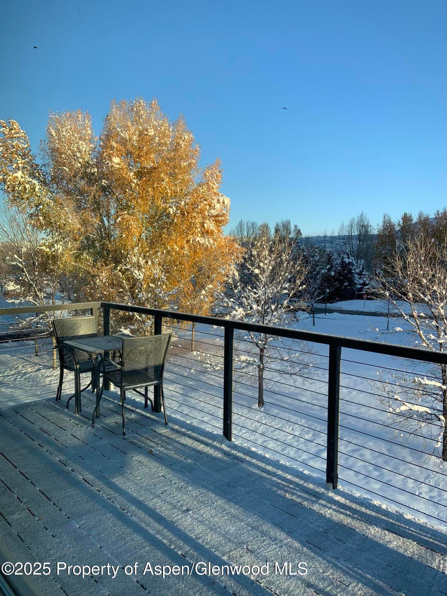 202 Evans Road 202, Basalt, CO 81621 - Photo 19